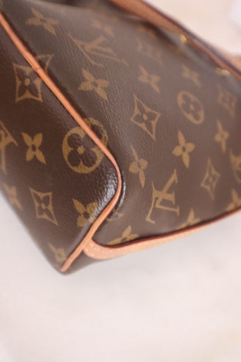 Louis Vuitton Monogram Neo Nano Bag