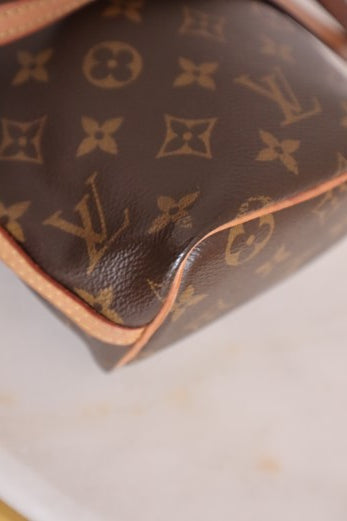 Louis Vuitton Monogram Neo Nano Bag