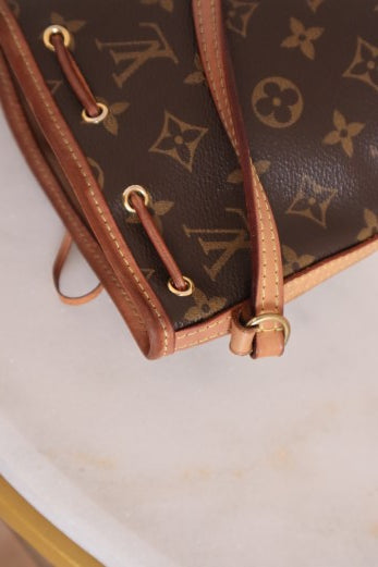 Louis Vuitton Monogram Neo Nano Bag