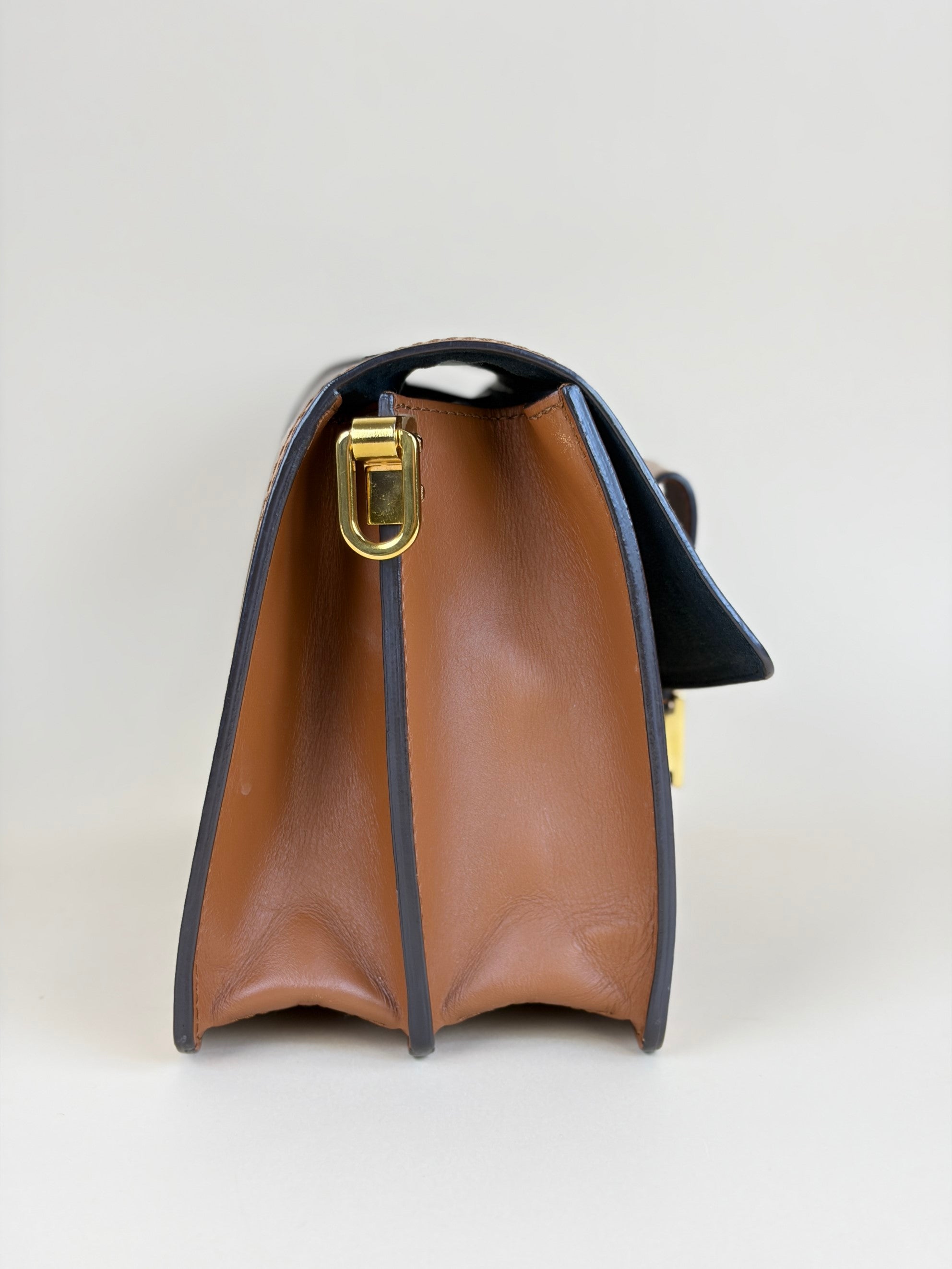 Louis Vuitton Monogram Reverse Dauphine Bag