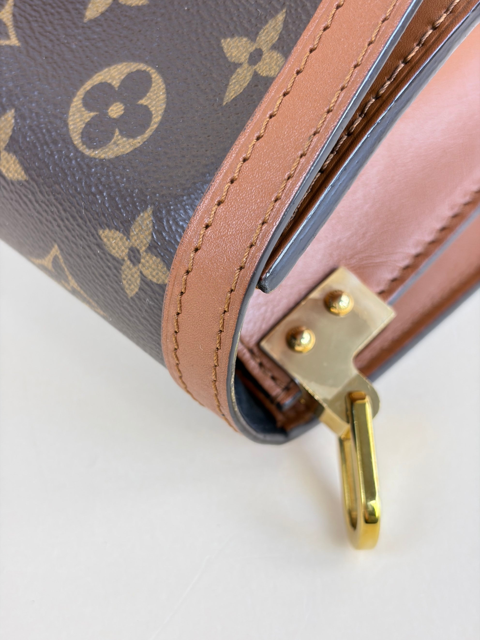 Louis Vuitton Monogram Reverse Dauphine Bag