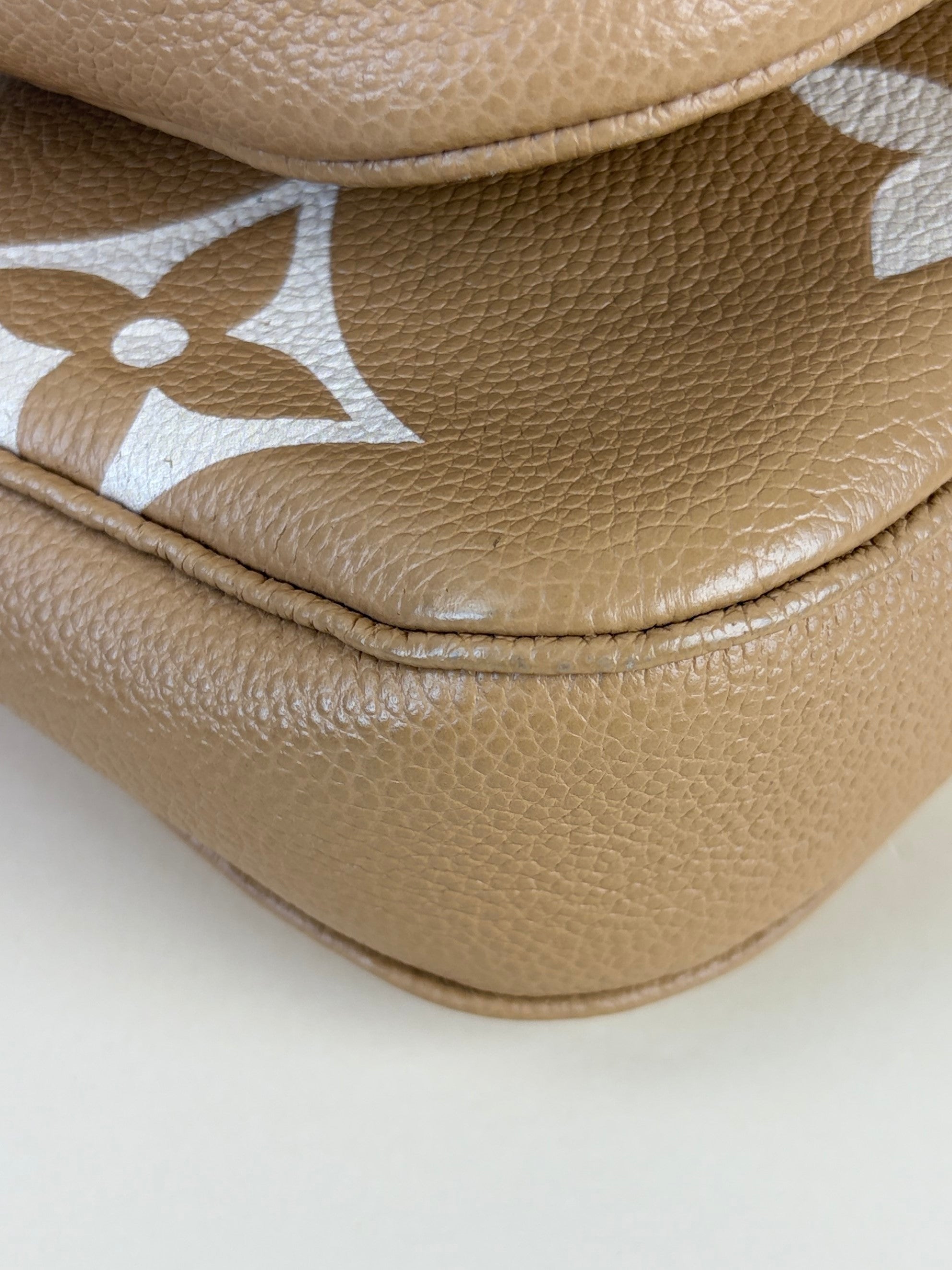 Louis Vuitton imprinted monogram giant multi pochette accessories bag