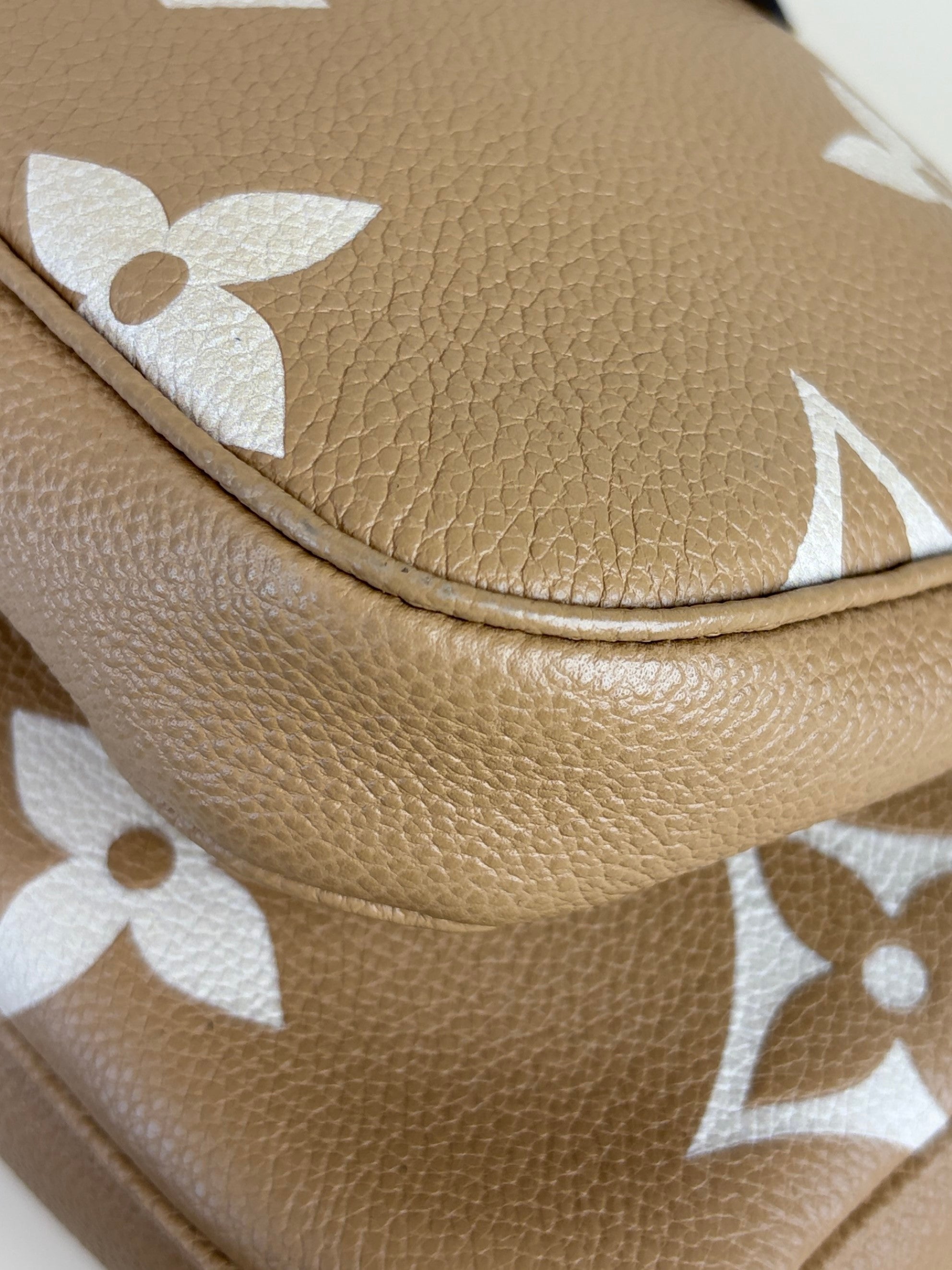 Louis Vuitton imprinted monogram giant multi pochette accessories bag