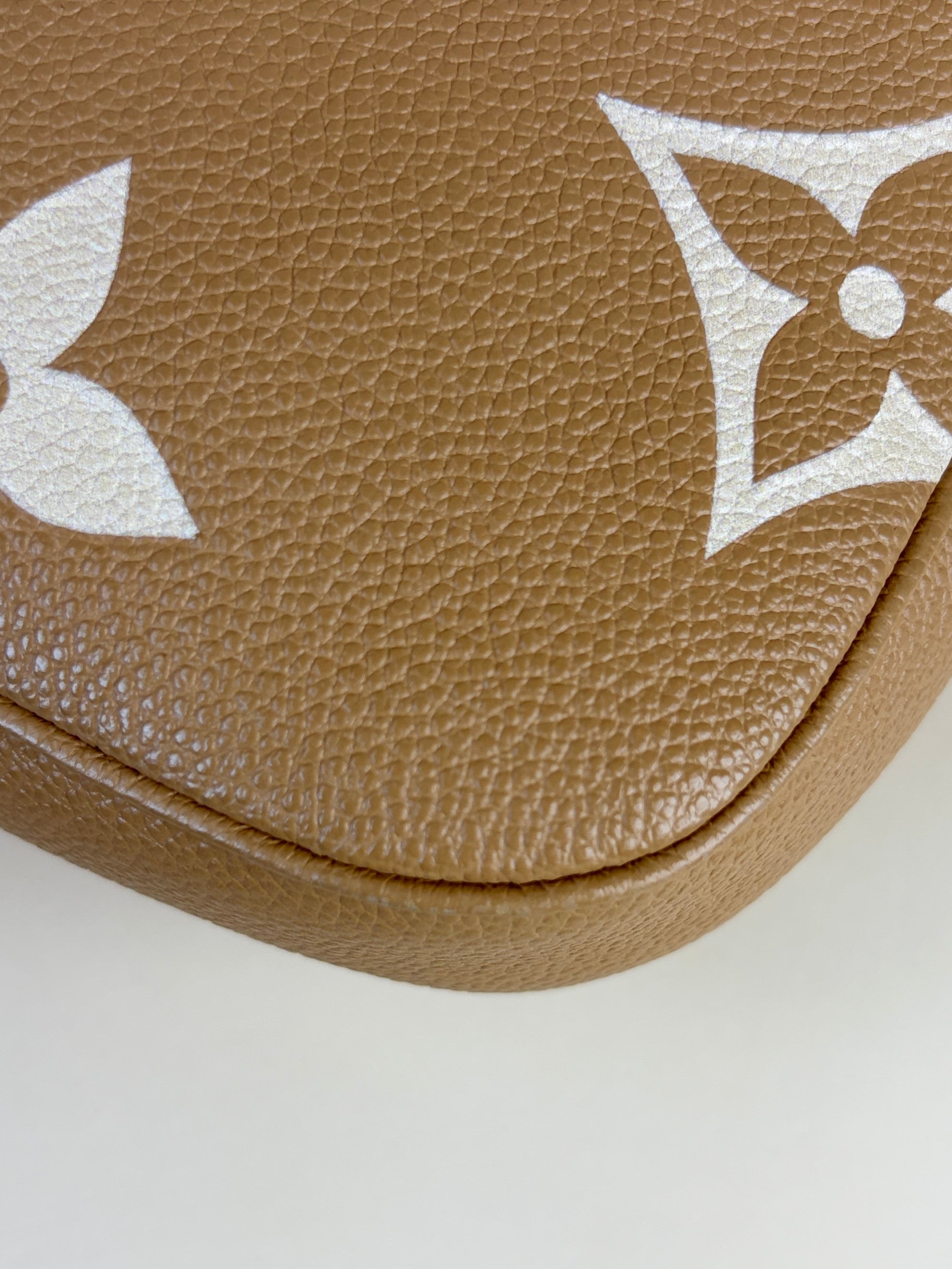 Louis Vuitton imprinted monogram giant multi pochette accessories bag