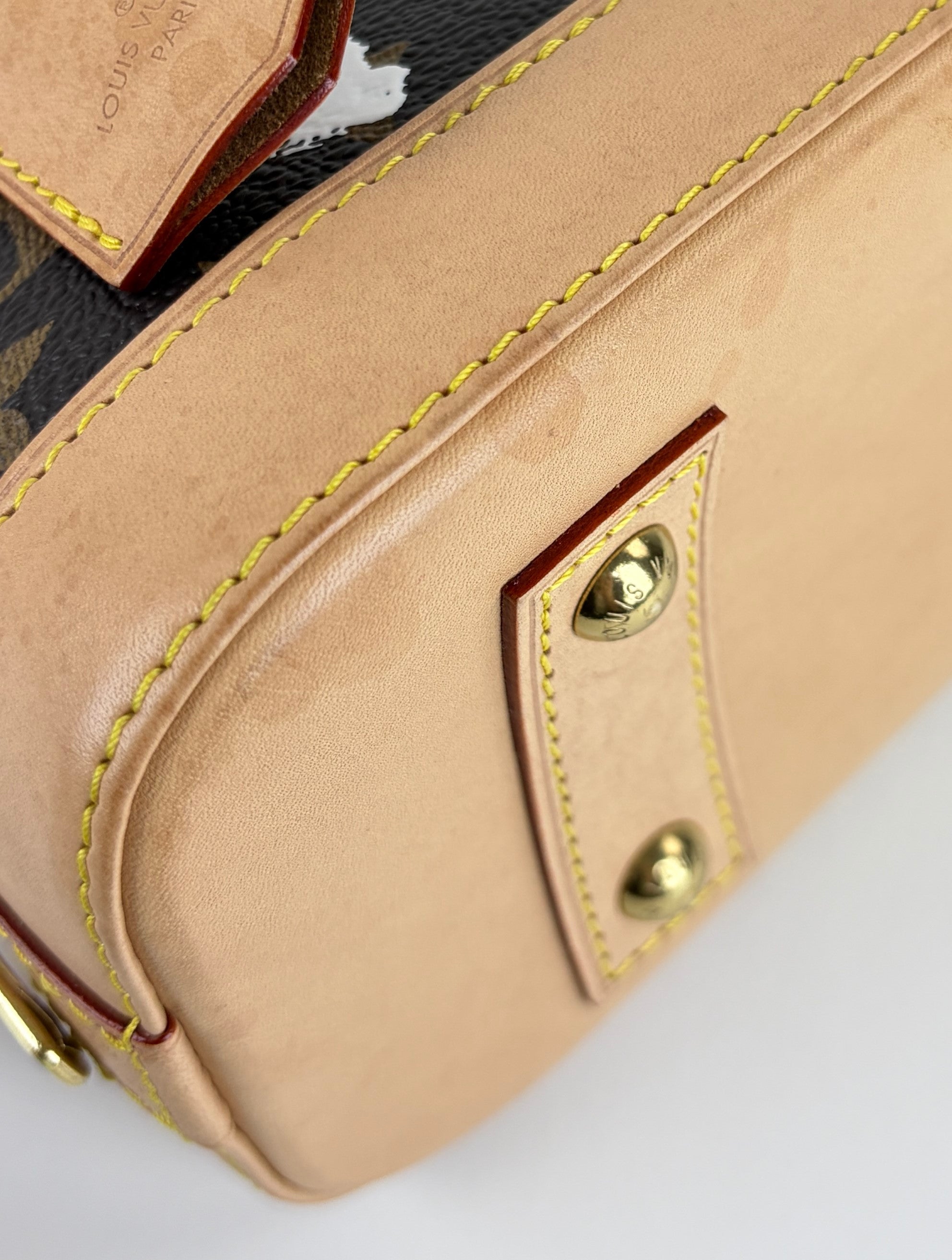 Louis Vuitton X Y K Monogram canvas alma BB tote bag