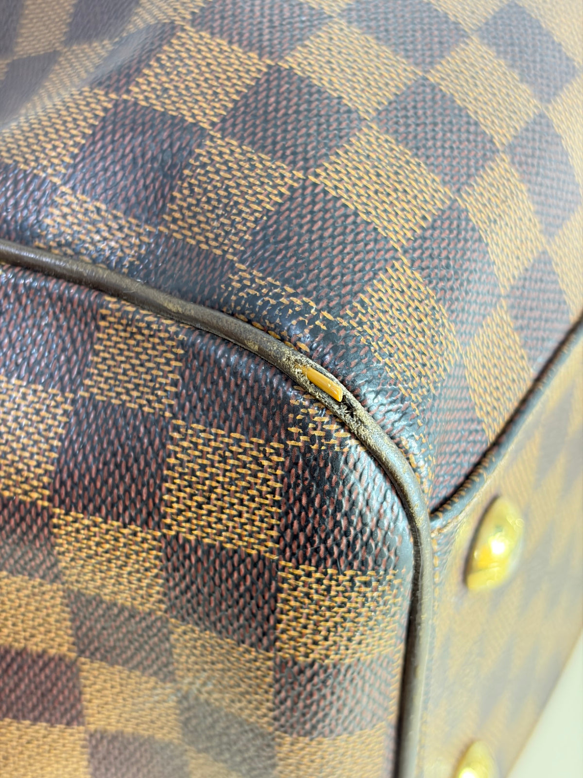 Louis Vuitton Damier Ebene Trevi GM Bag