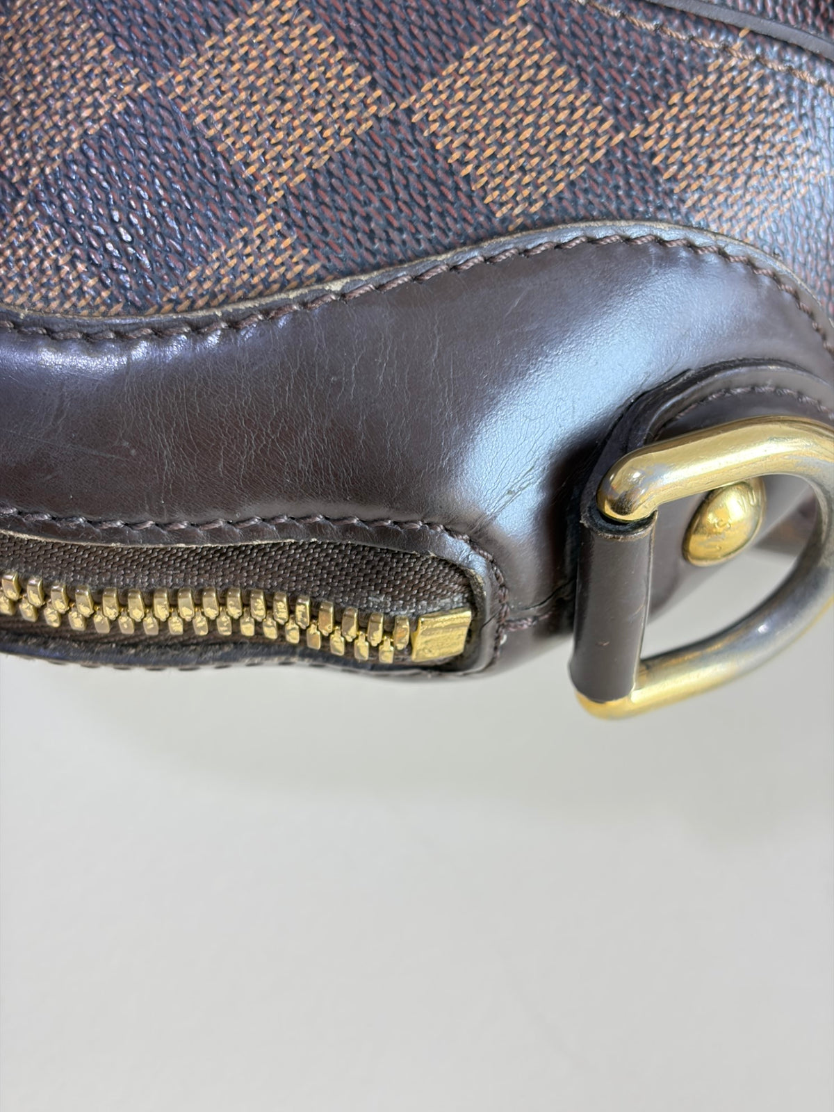 Louis Vuitton Damier Ebene Trevi GM Bag