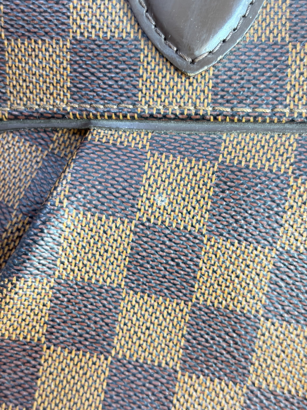 Louis Vuitton Damier Ebene Trevi GM Bag