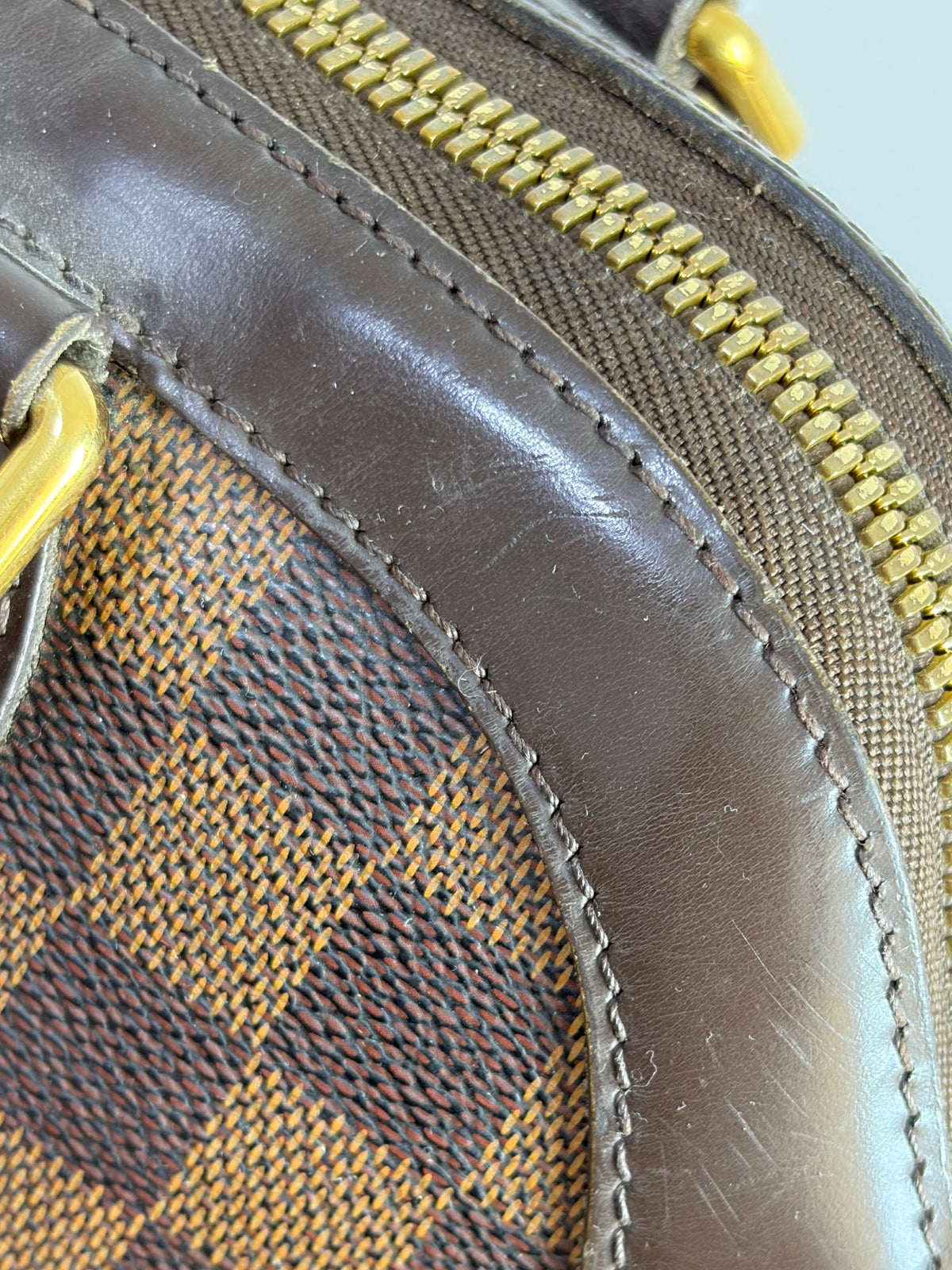 Louis Vuitton Damier Ebene Trevi GM Bag