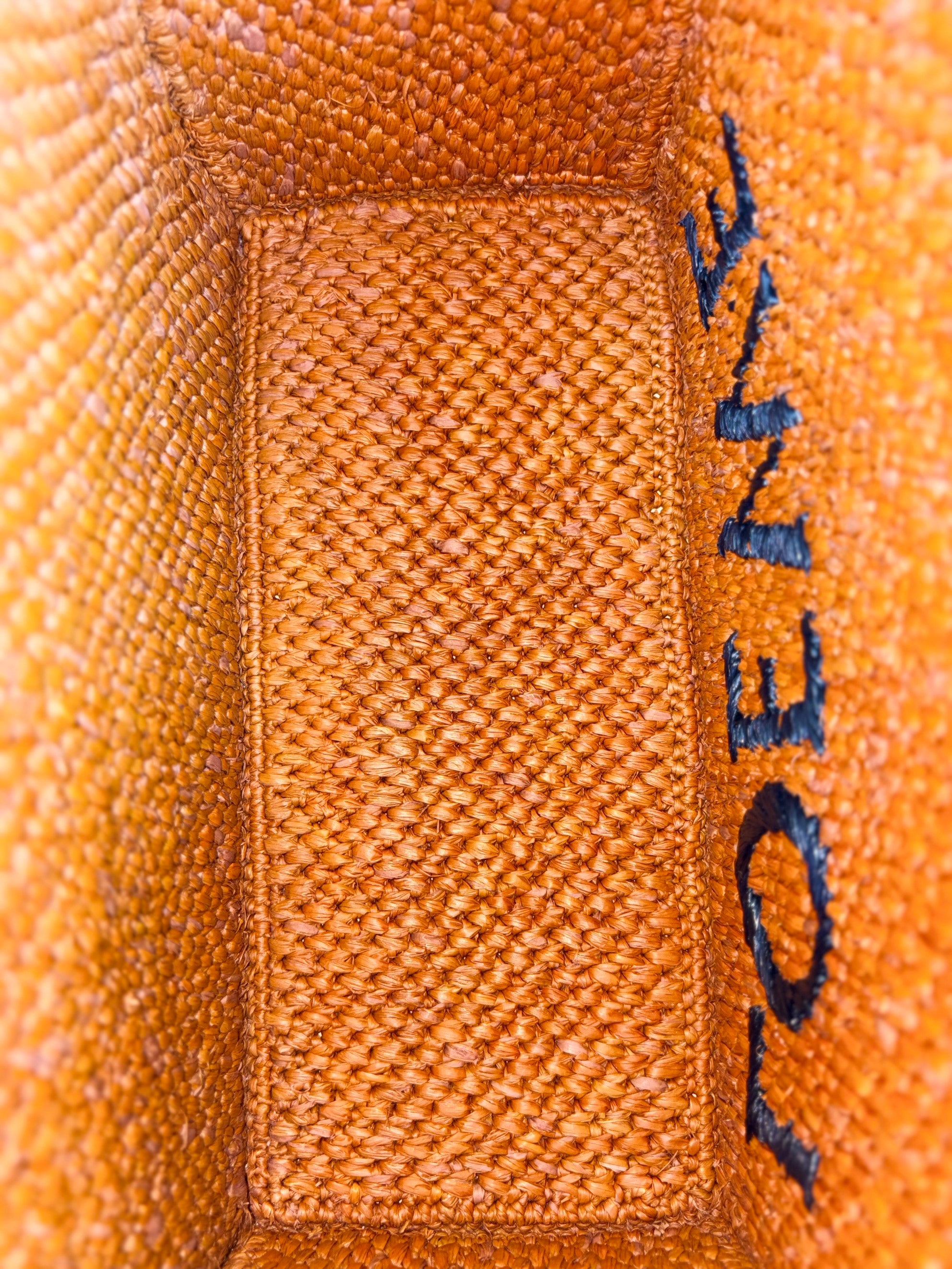 Loewe Bicolor Paula's Ibiza Raffia Tote Bag