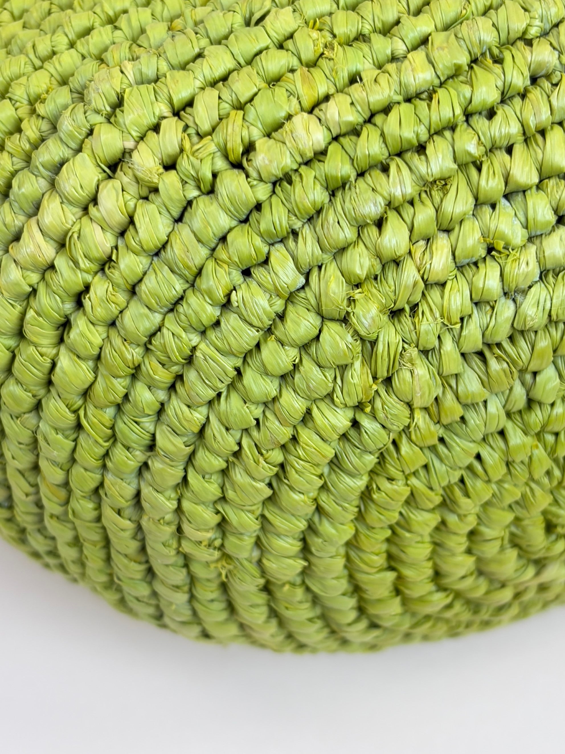 Loewe Meadow Green Raffia Mini Slit Tote Bag with Strap