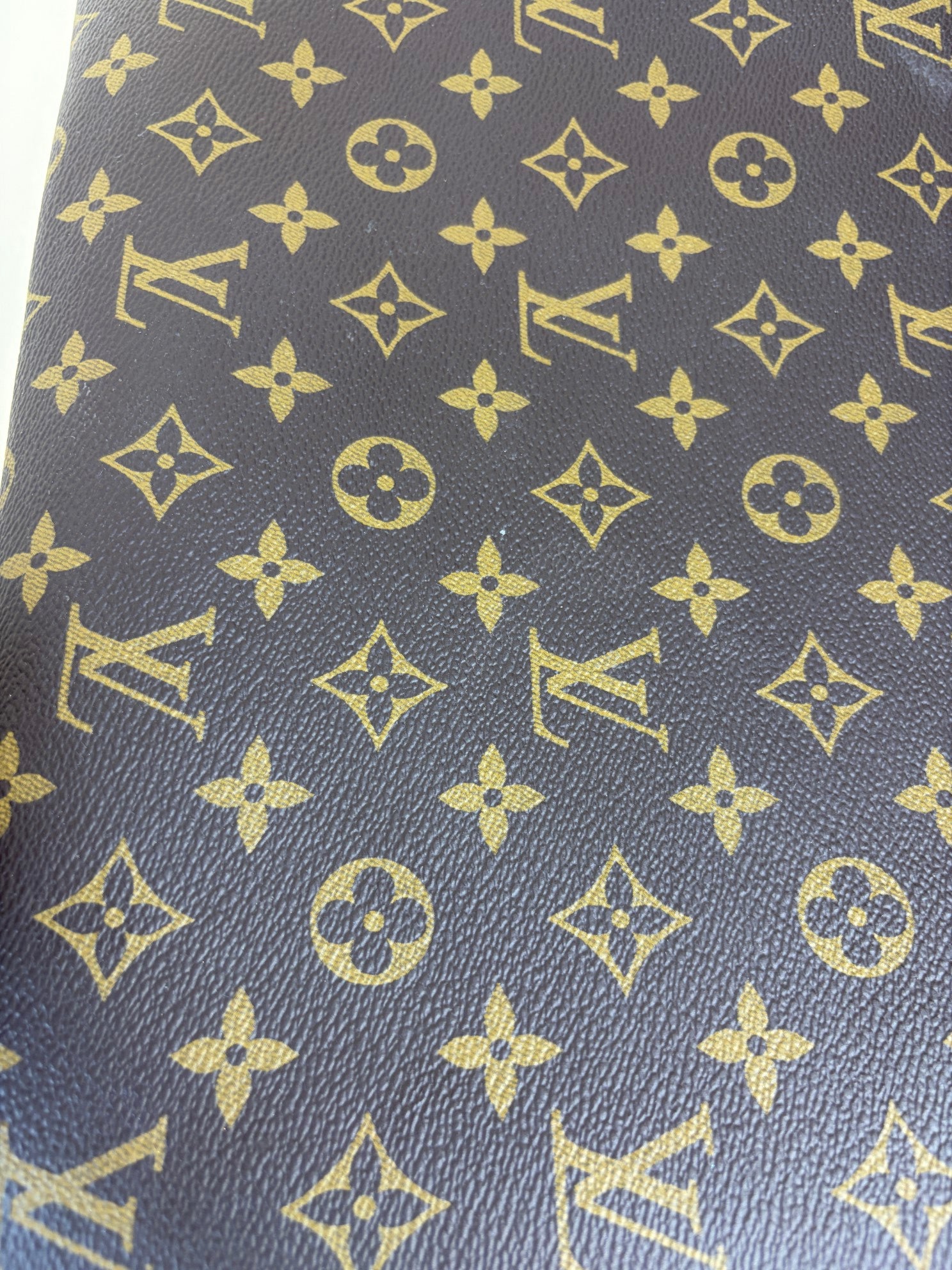 Louis Vuitton Monogram canvas pouch