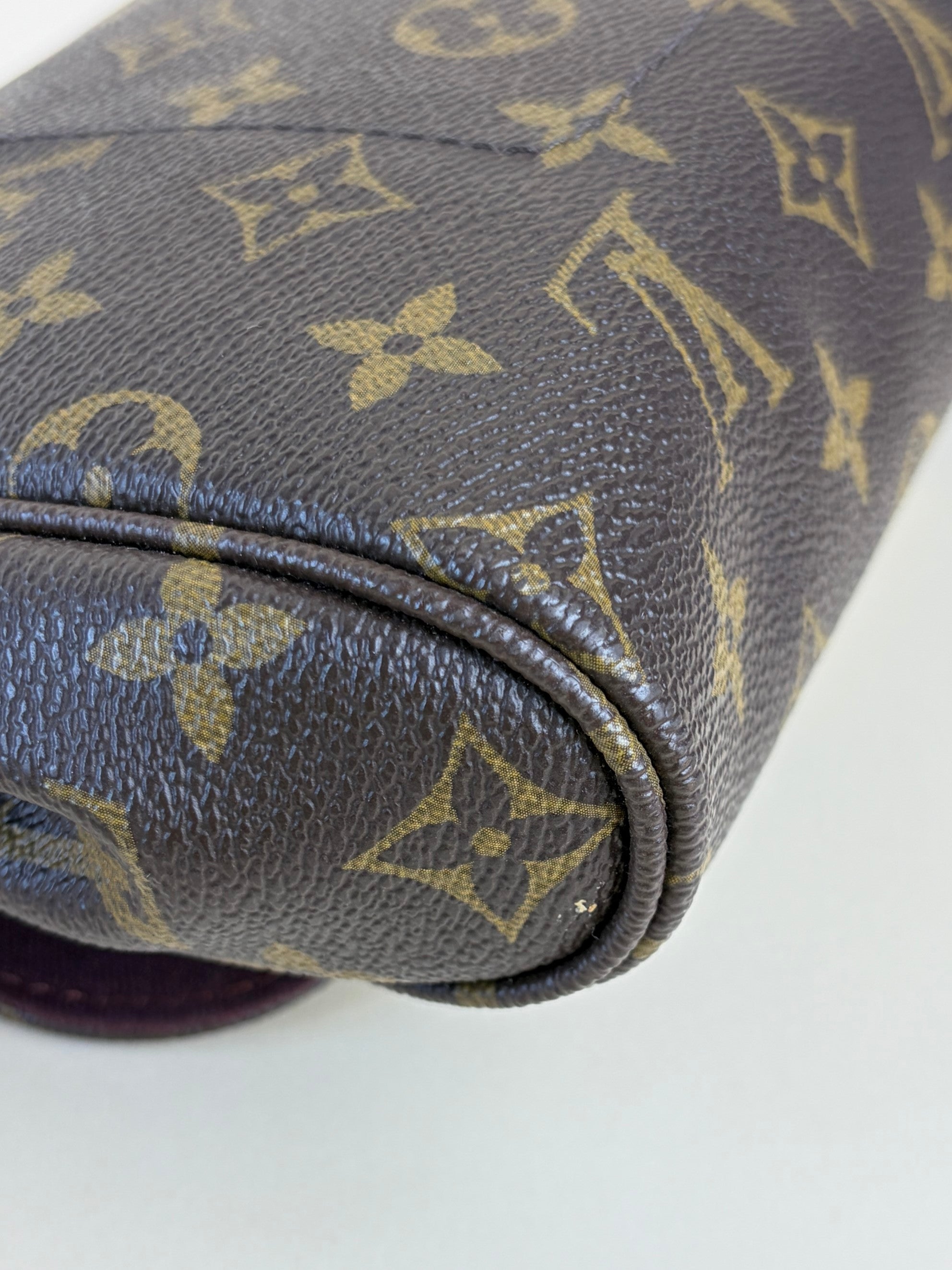 Louis Vuitton Monogram canvas favorite mm bag