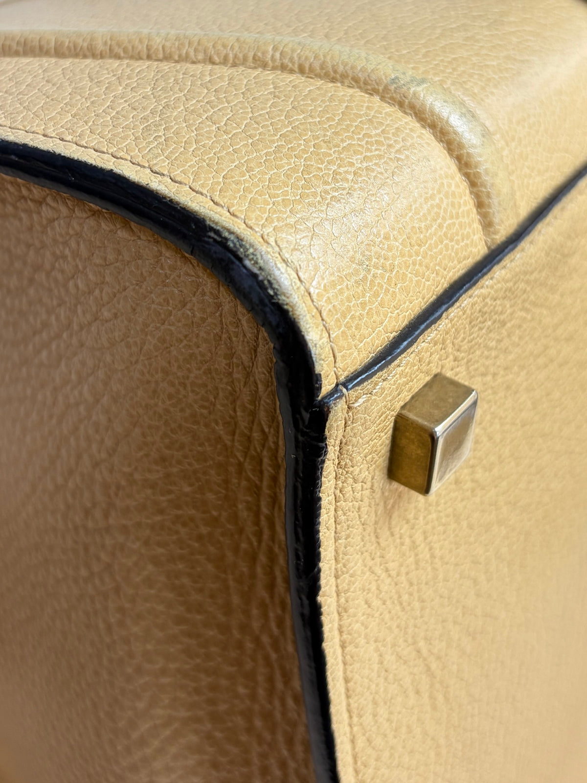 Celine dark beige grain ed calfskin medium phantom luggage tote bag