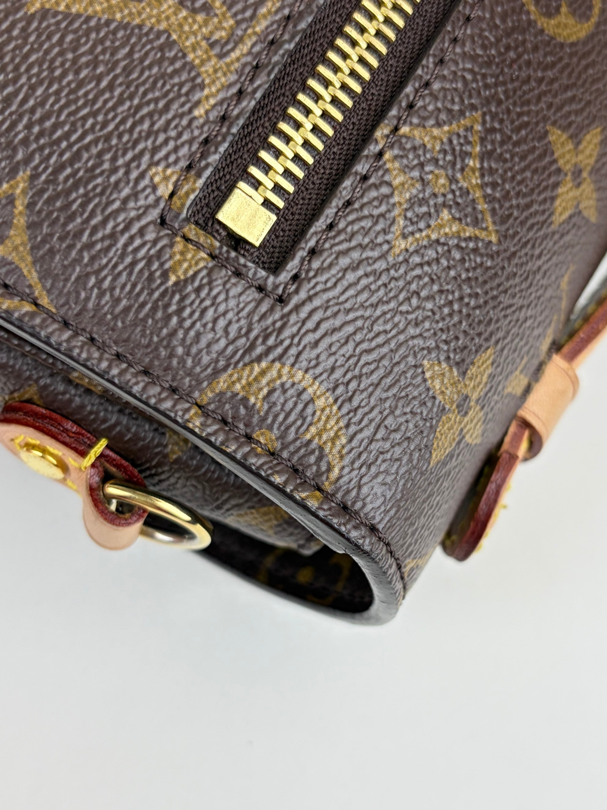 Louis Vuitton Monogram canvas Pochette Metis Bag