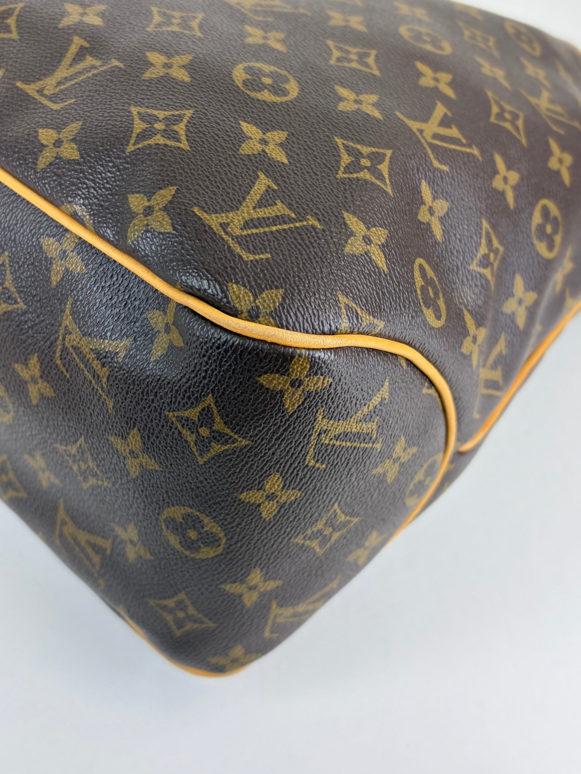 louis Vuitton monogram canvas delightful mm hobo bag