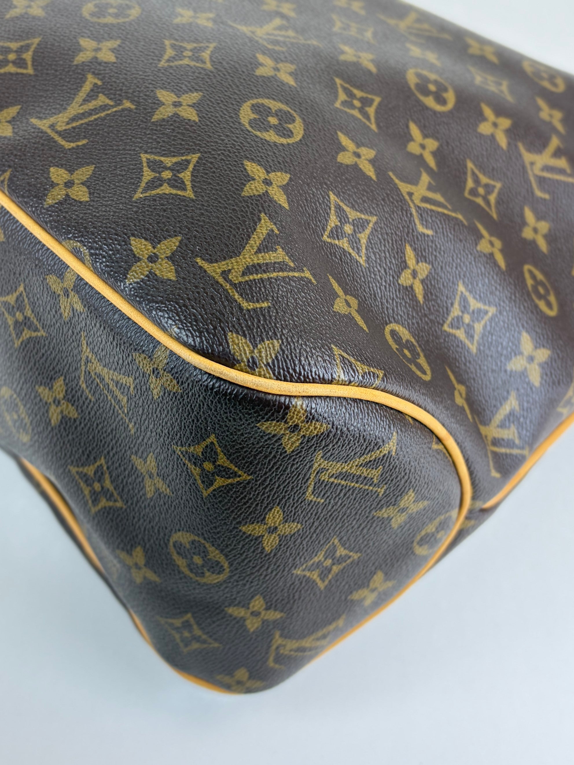 louis Vuitton monogram canvas delightful mm hobo bag