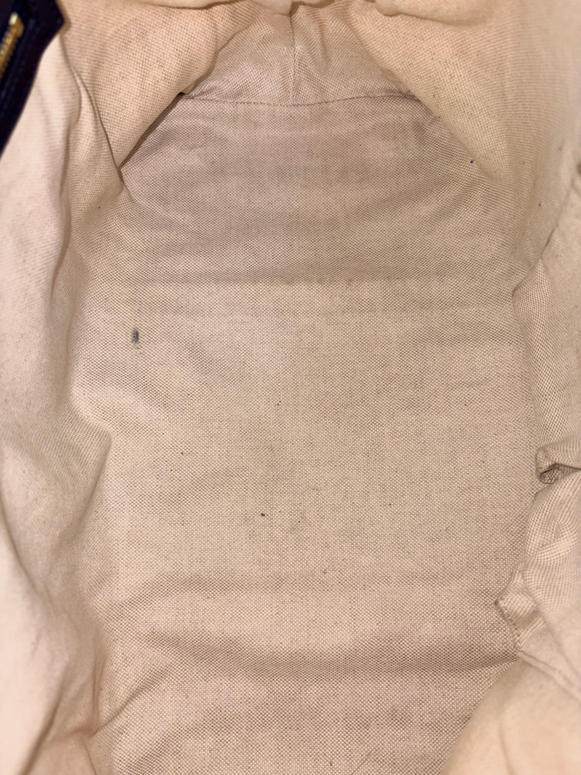 Gucci gg canvas blue leather web rania bag