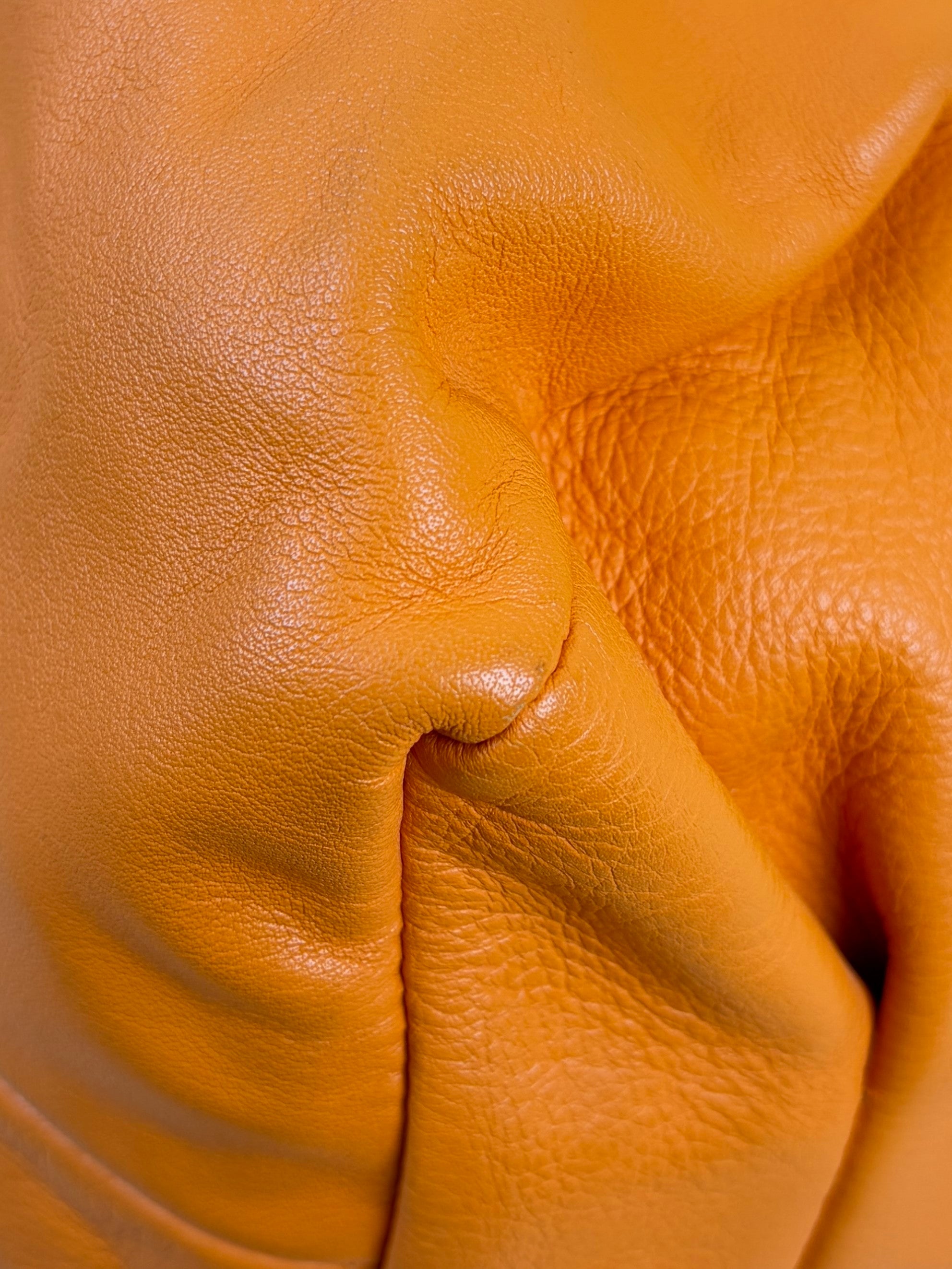 Bottega Veneta Orange Large The pouch
