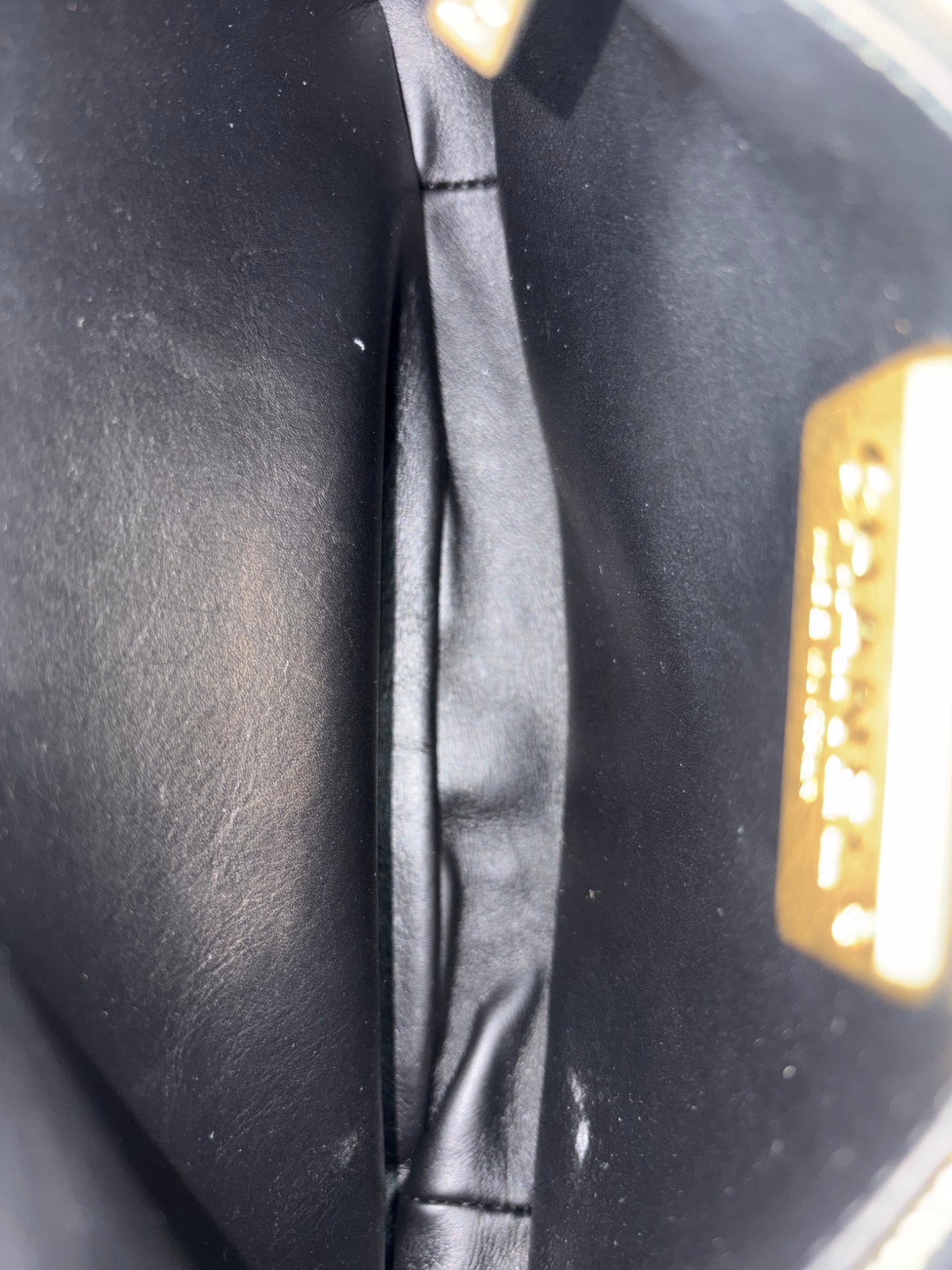 Chanel Black python cc flap bag