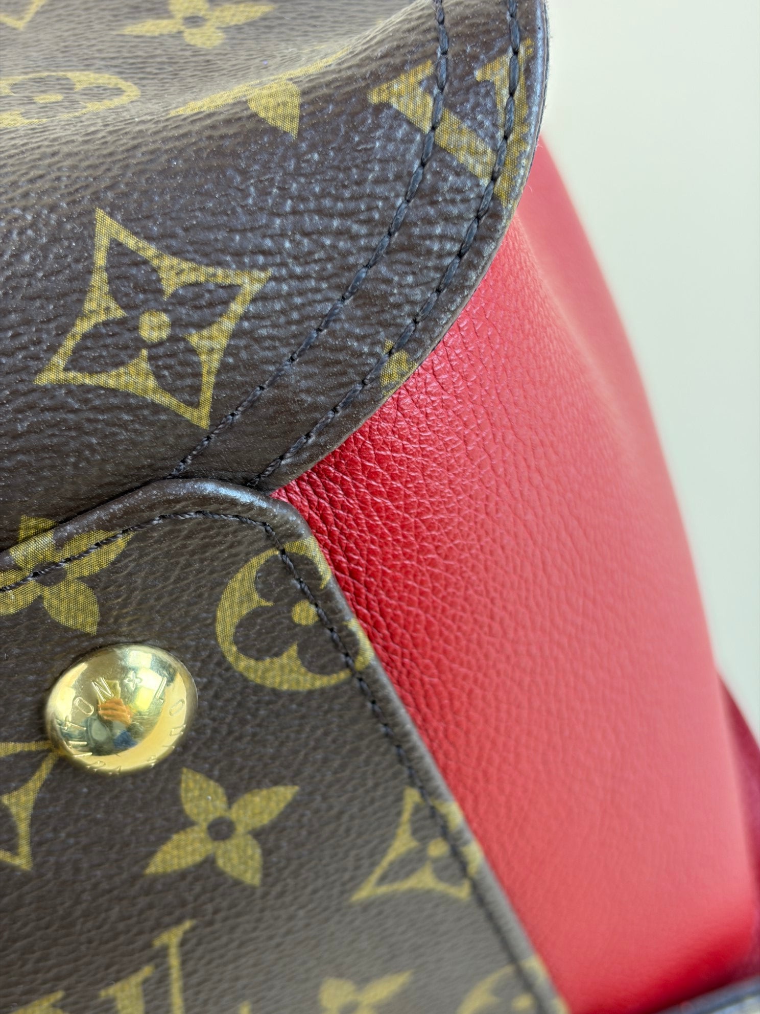 Louis Vuitton Monogram Cerise Gaia Bag