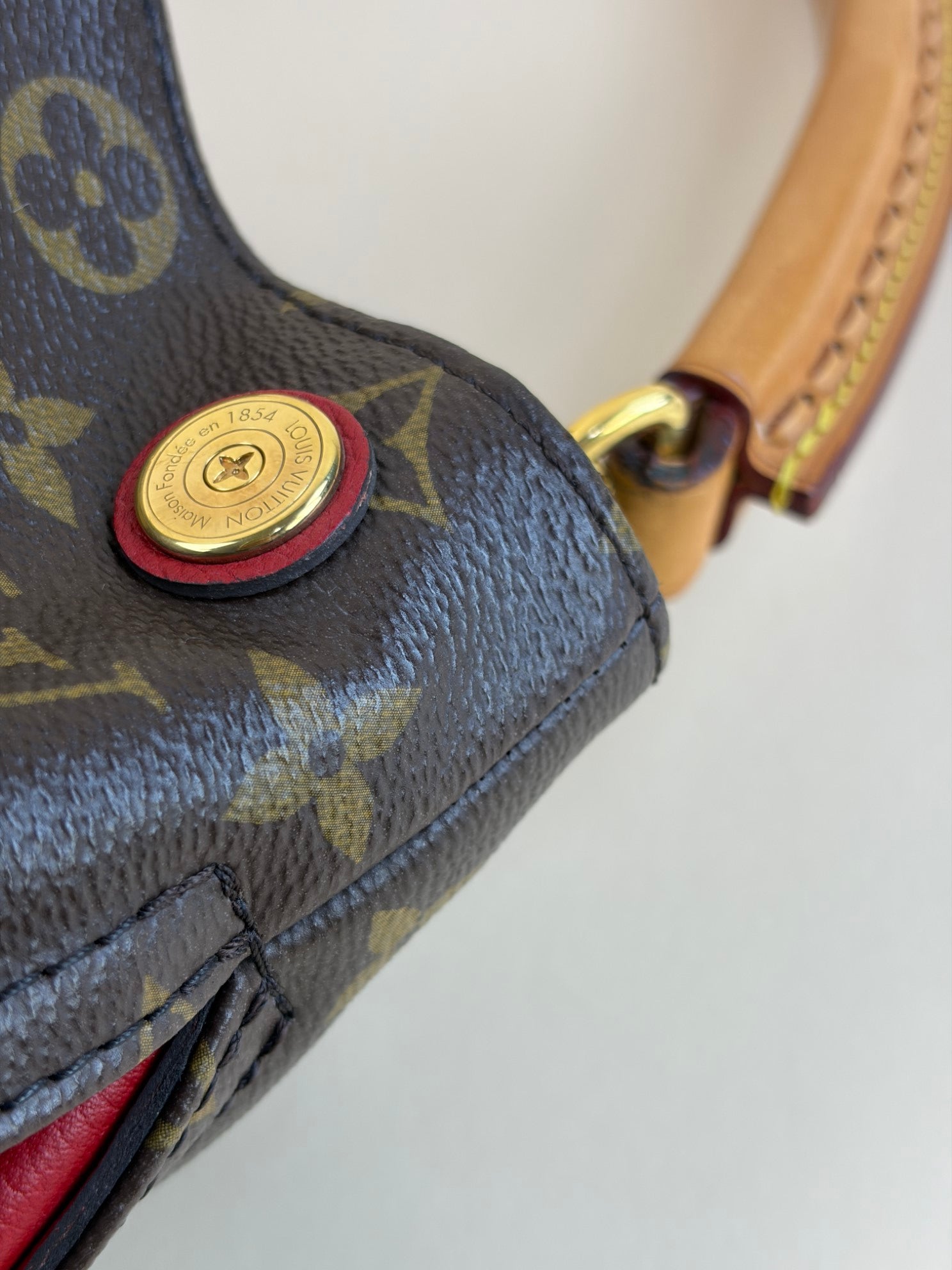 Louis Vuitton Monogram Cerise Gaia Bag