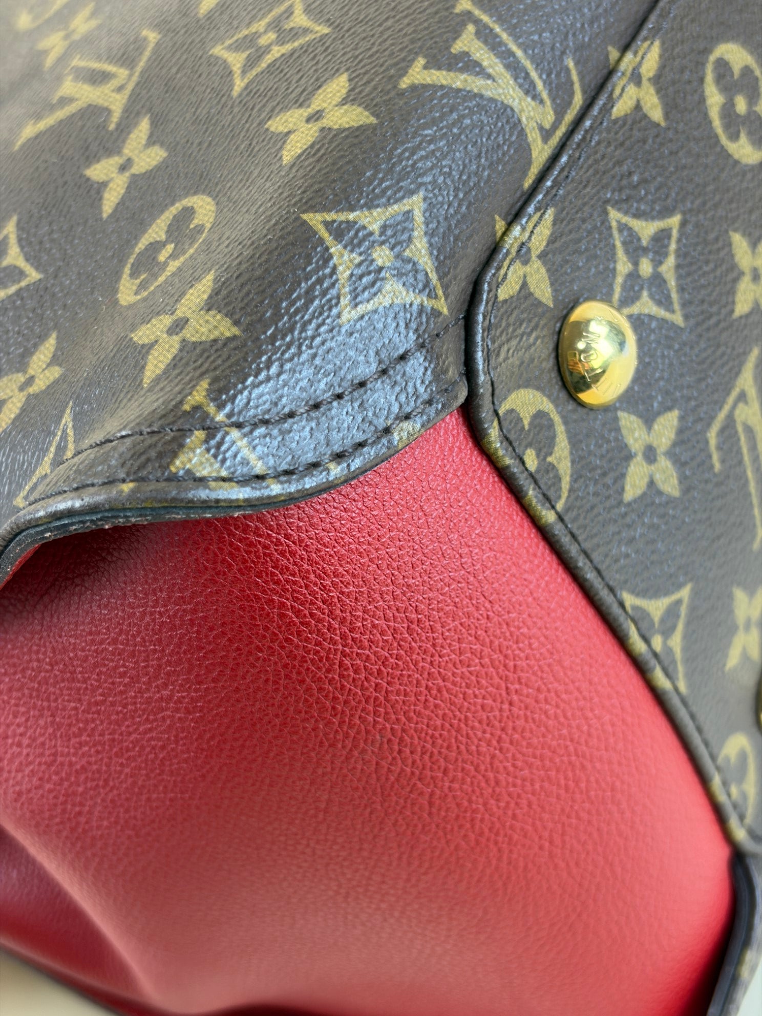 Louis Vuitton Monogram Cerise Gaia Bag