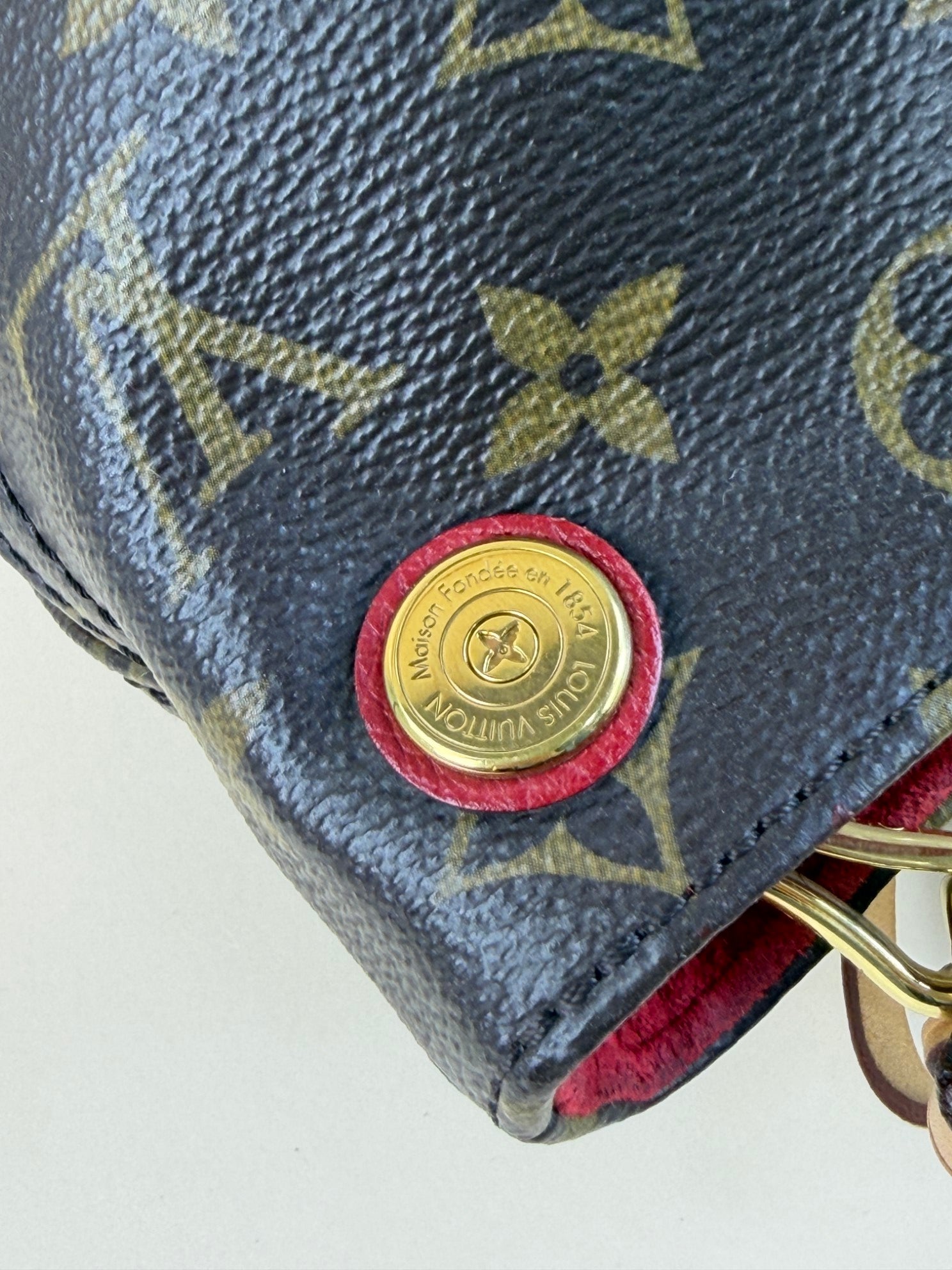 Louis Vuitton Monogram Cerise Gaia Bag