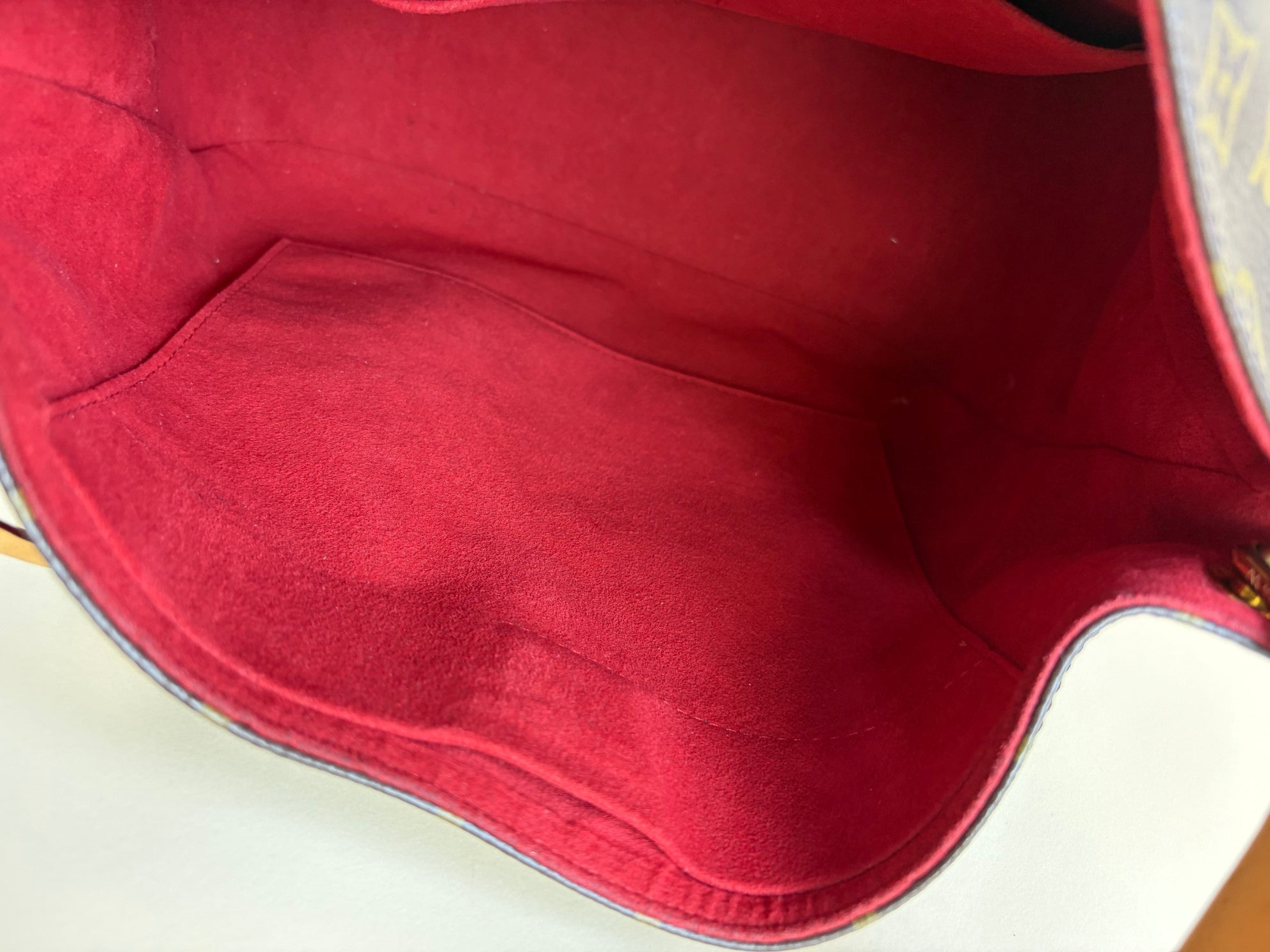 Louis Vuitton Monogram Cerise Gaia Bag