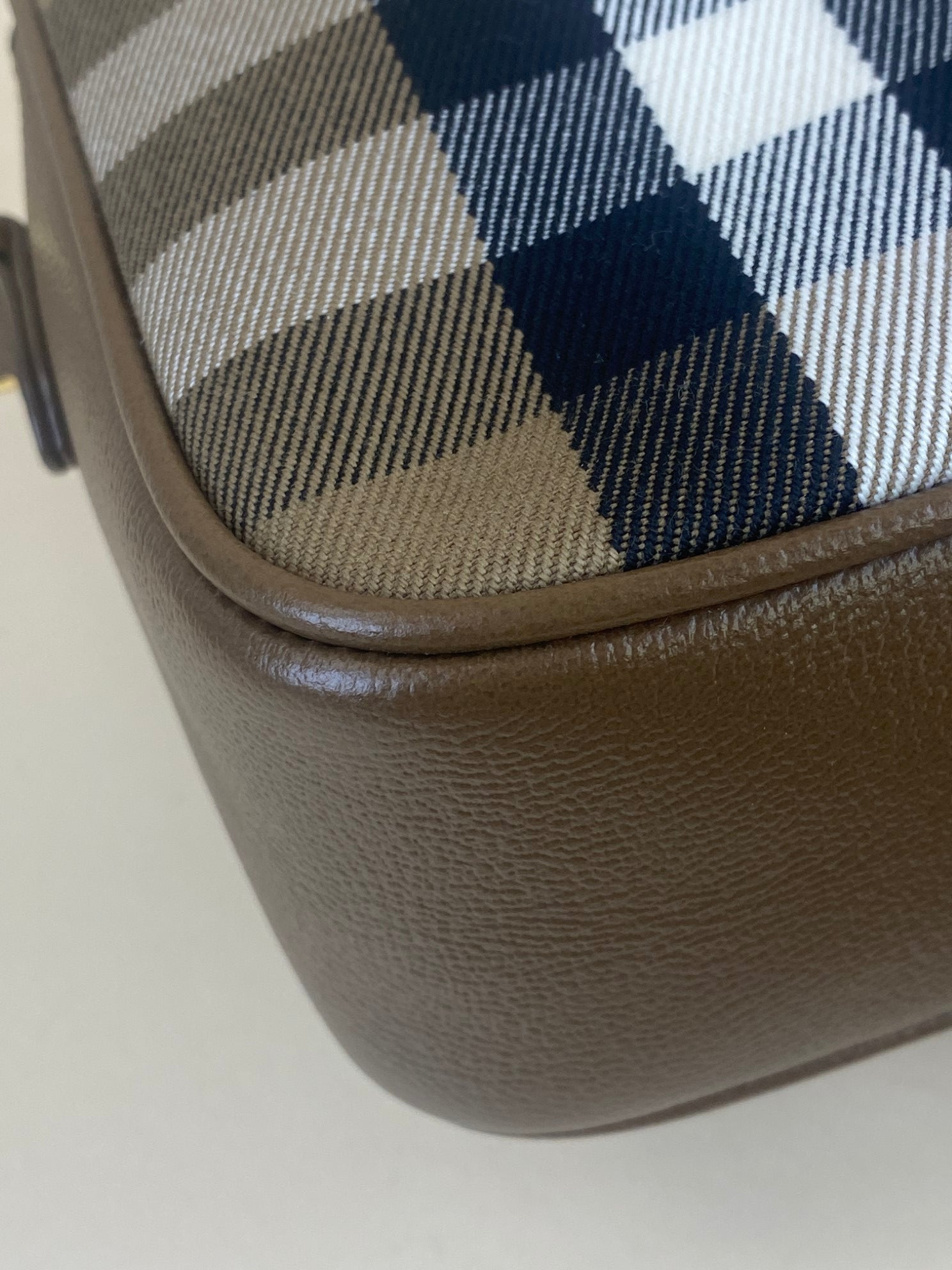 Burberry Earth House Check Medium Camera Bag