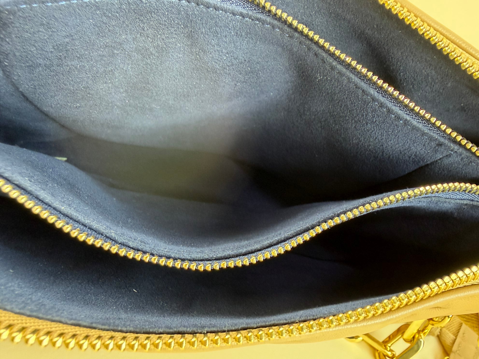 Louis Vuitton Beige Coussin PM Bag