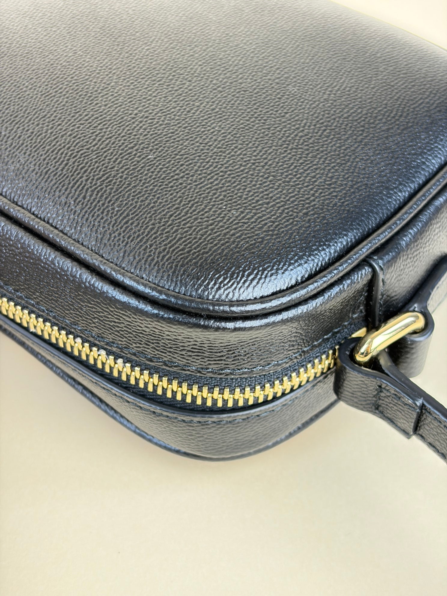 Burberry black leather and House Check small camera bag