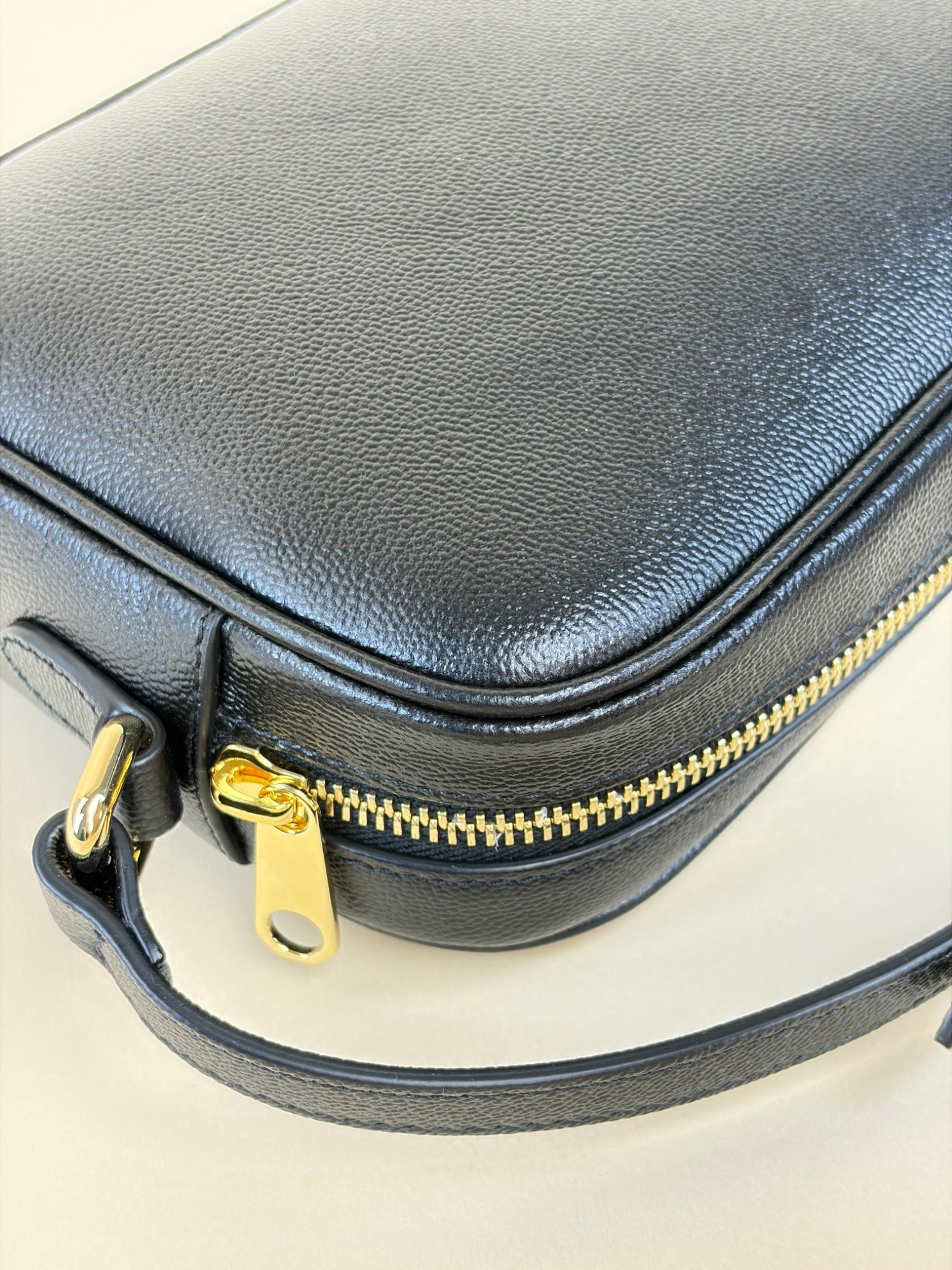 Burberry black leather and House Check small camera bag