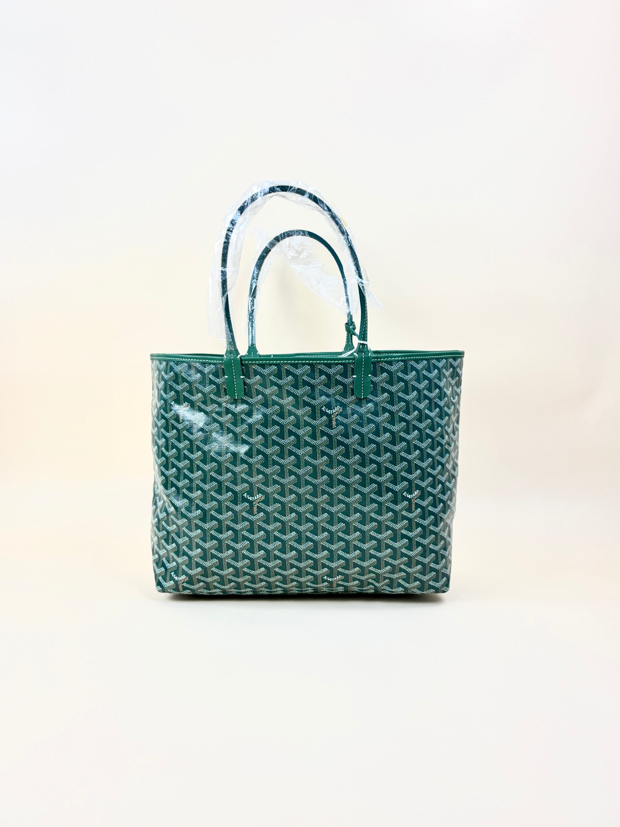 Goyard Greendine Saint Louis PM Bag