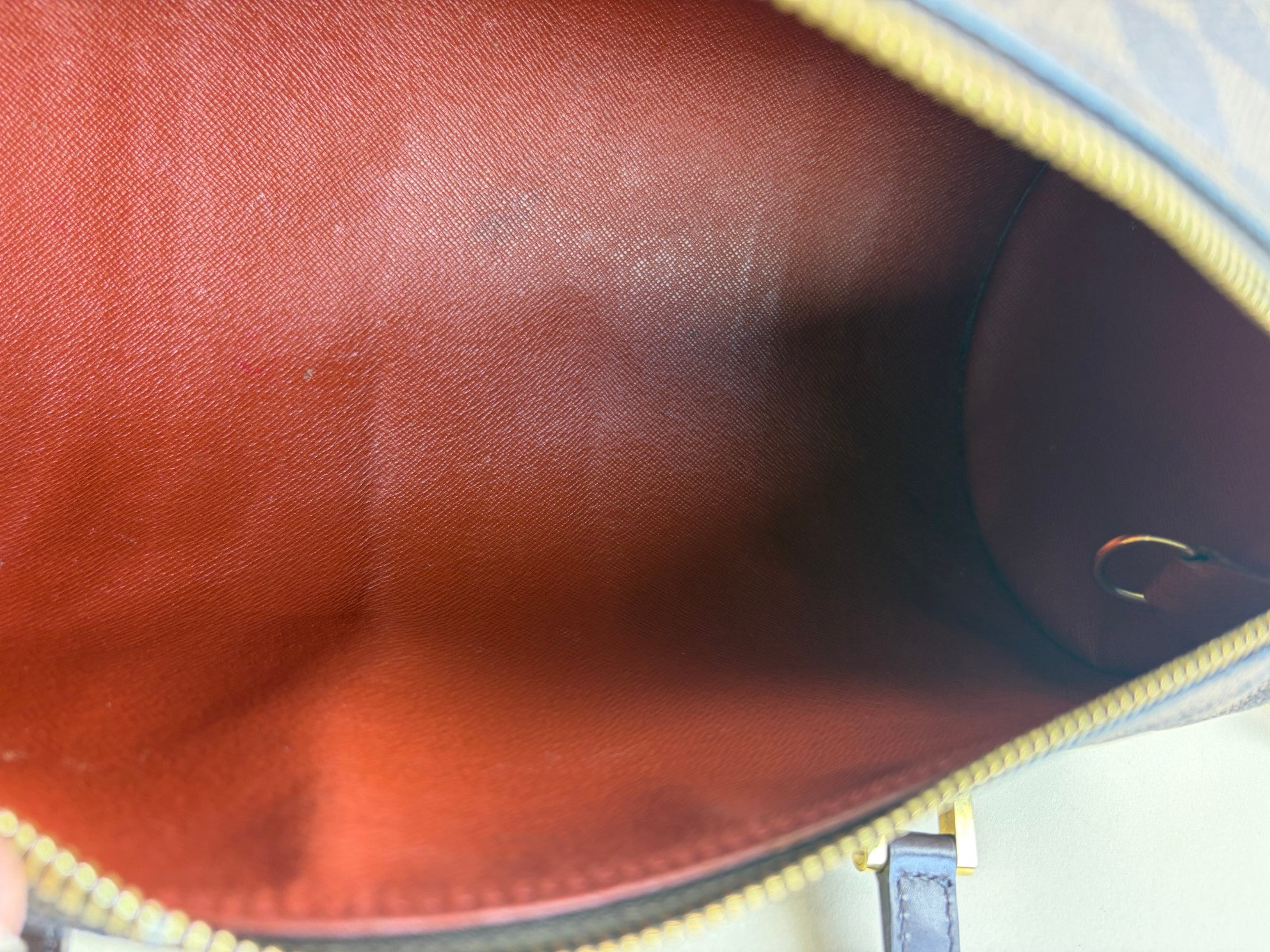 Louis Vuitton Damier Ebene Papillon 30 Bag