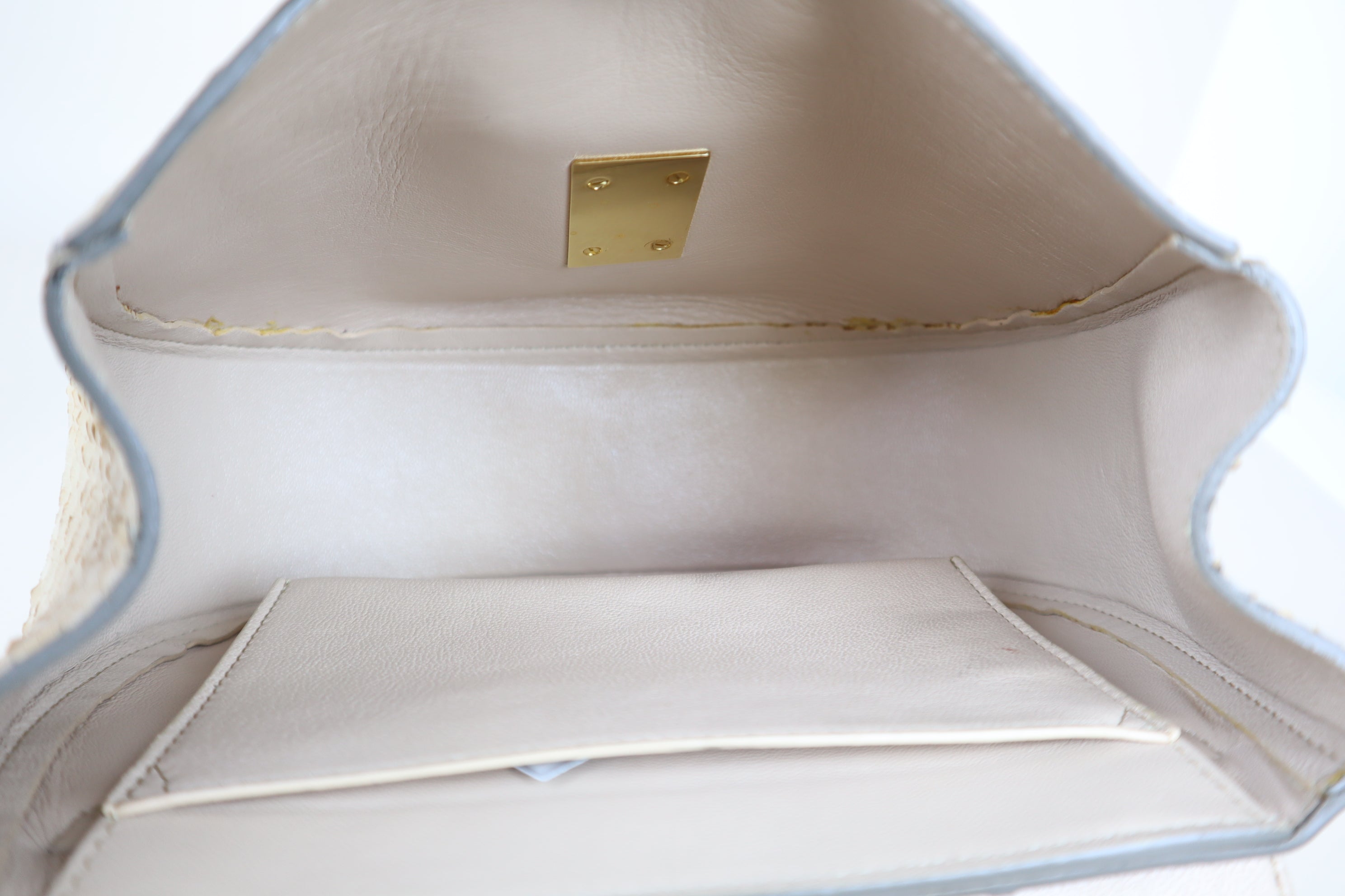 Chloe Beige Python Small Drew Shoulder Bag