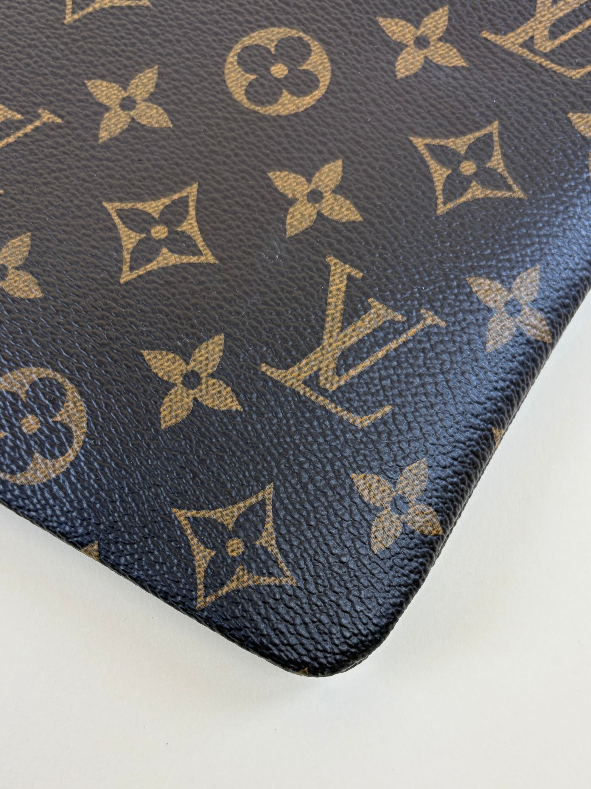 Louis Vuitton Monogram Daily Pouch
