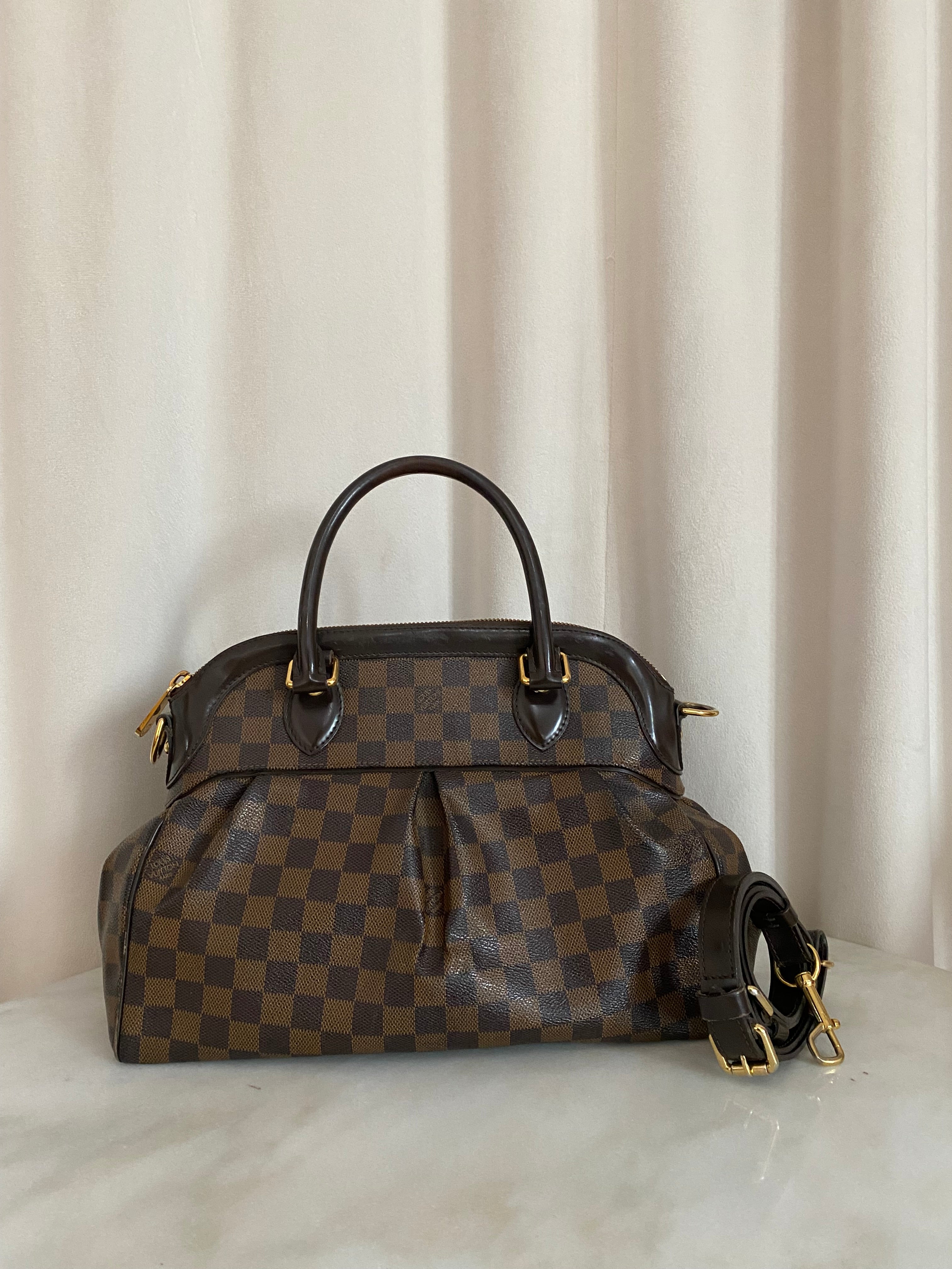 Louis Vuitton Damier Ebene Trevi PM Bag