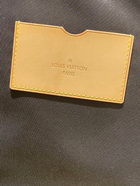 Louis Vuitton Monogram Pegase 55 Travel Bag