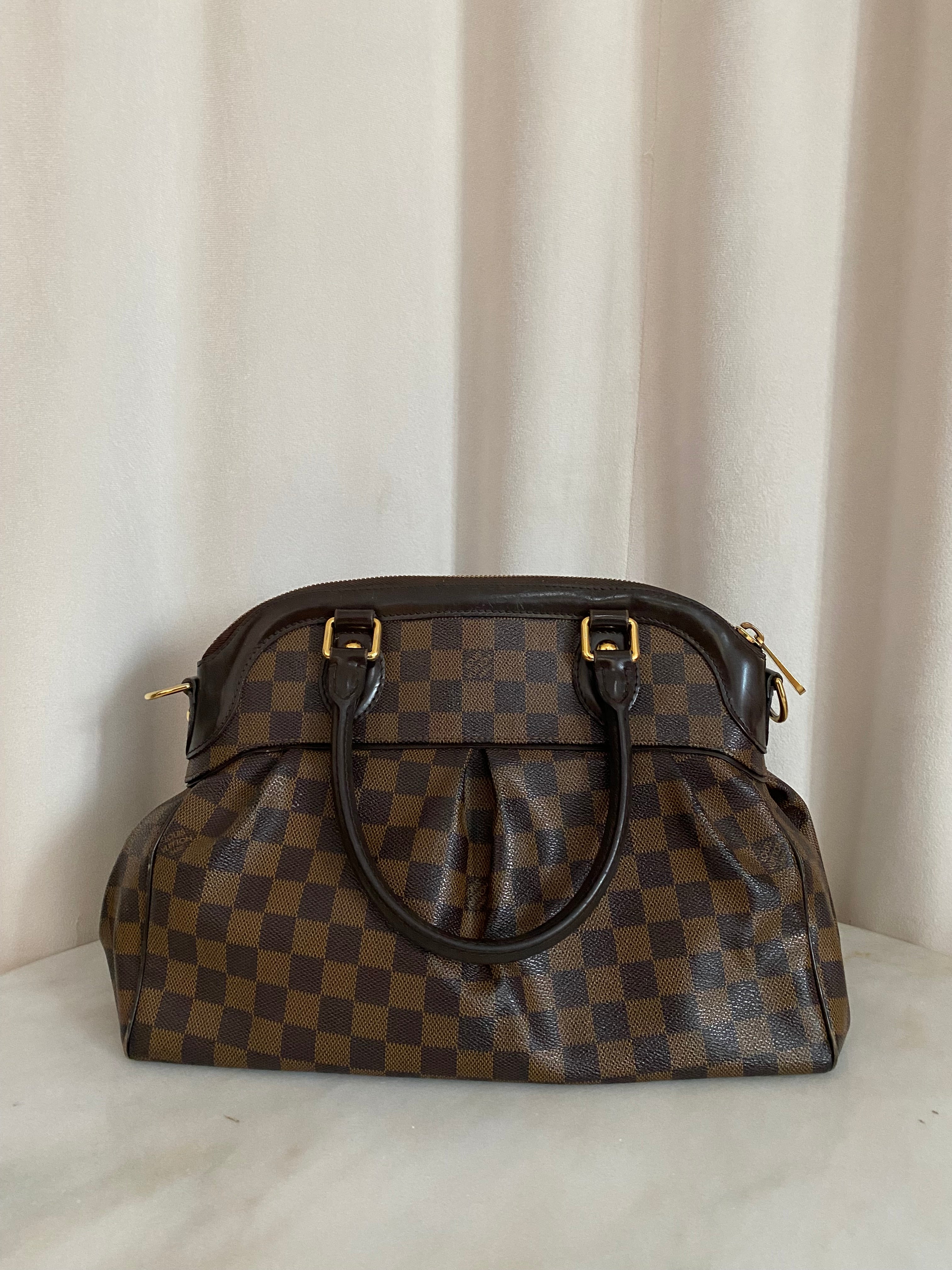 Louis Vuitton Damier Ebene Trevi PM Bag