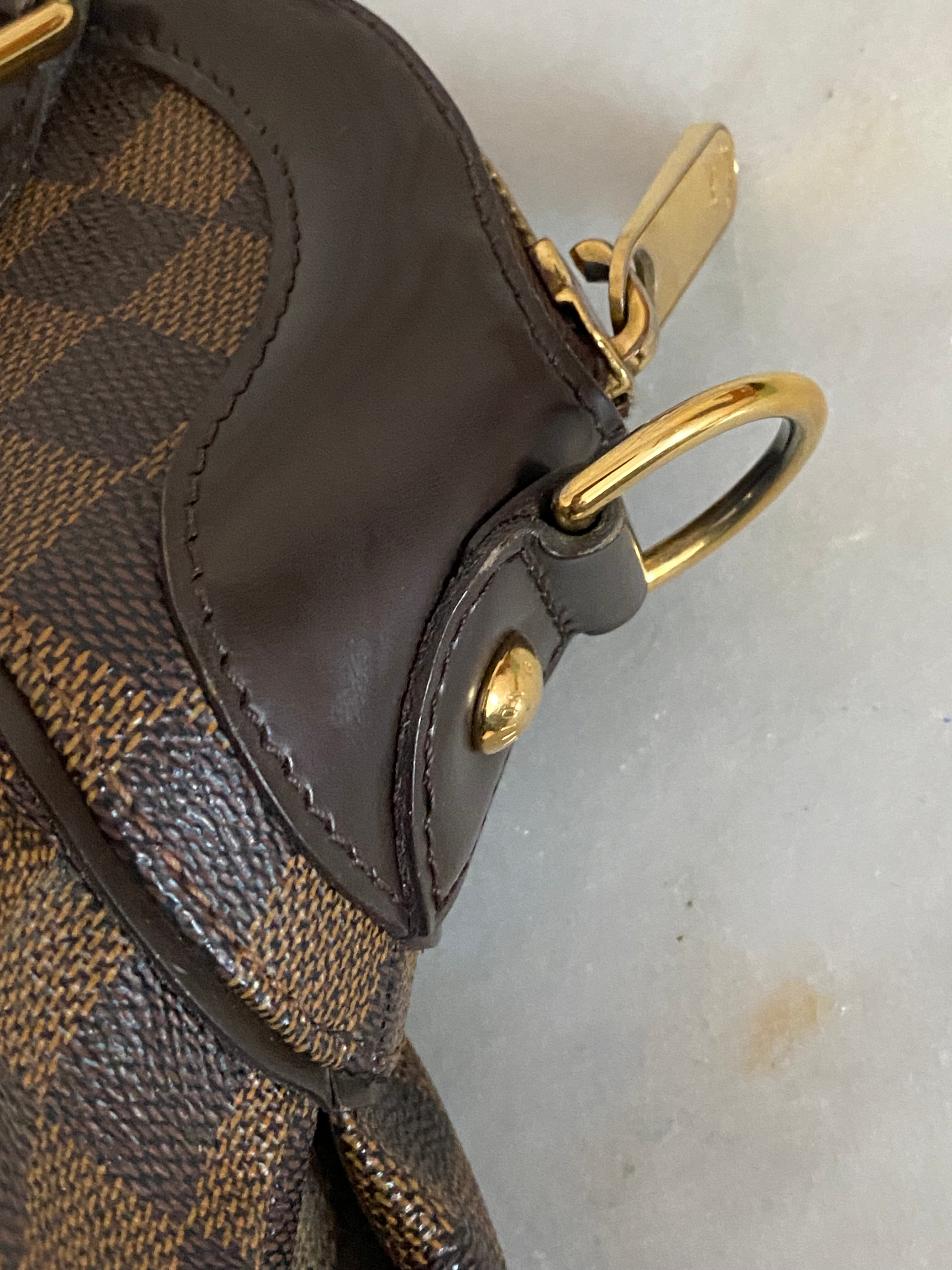 Louis Vuitton Damier Ebene Trevi PM Bag