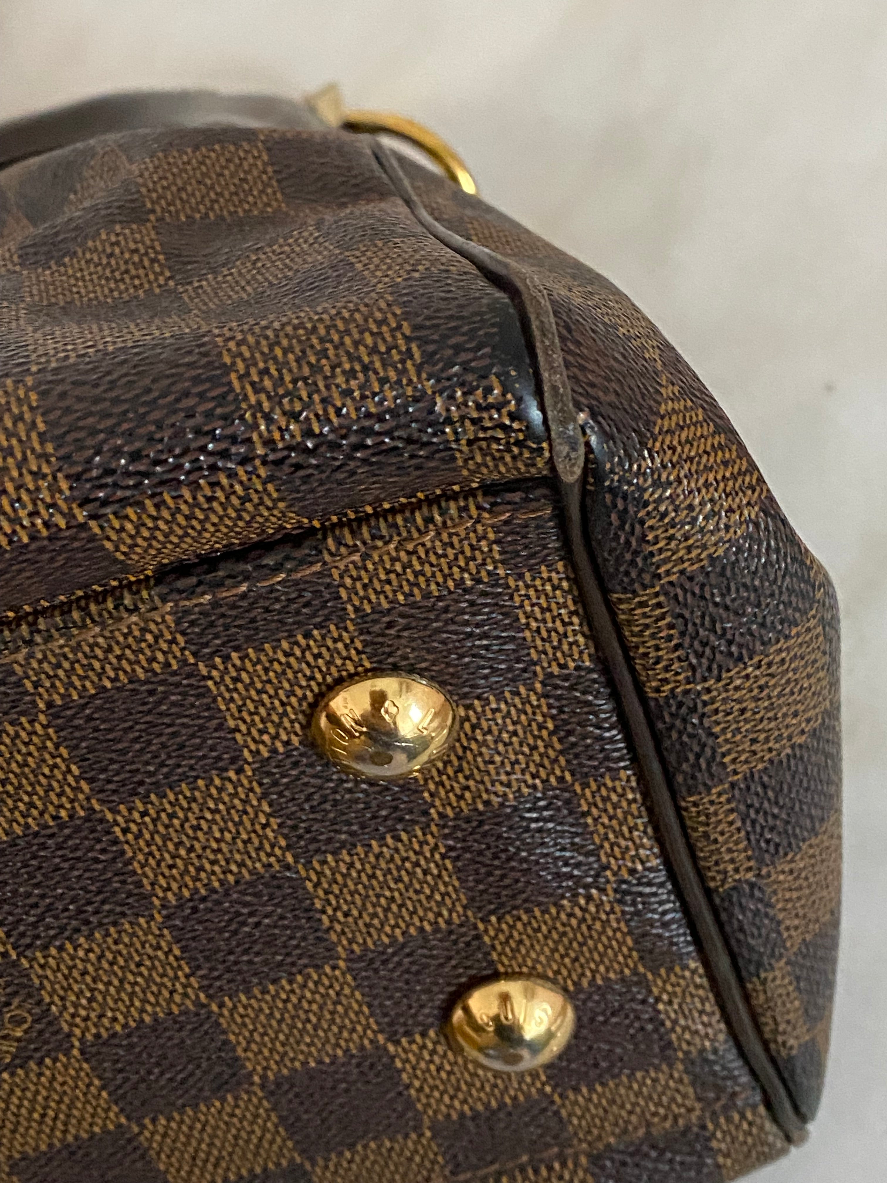 Louis Vuitton Damier Ebene Trevi PM Bag