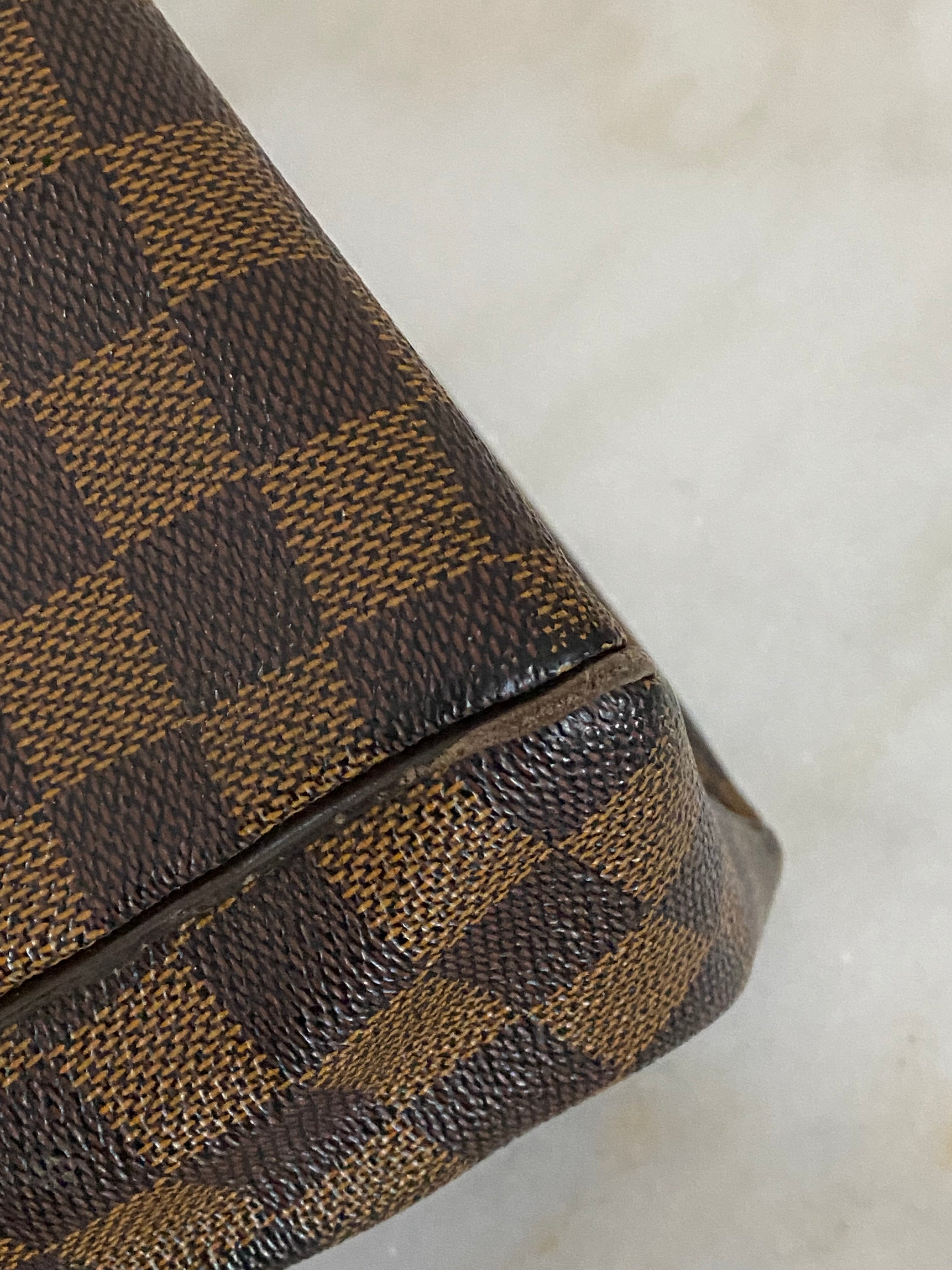 Louis Vuitton Damier Ebene Trevi PM Bag