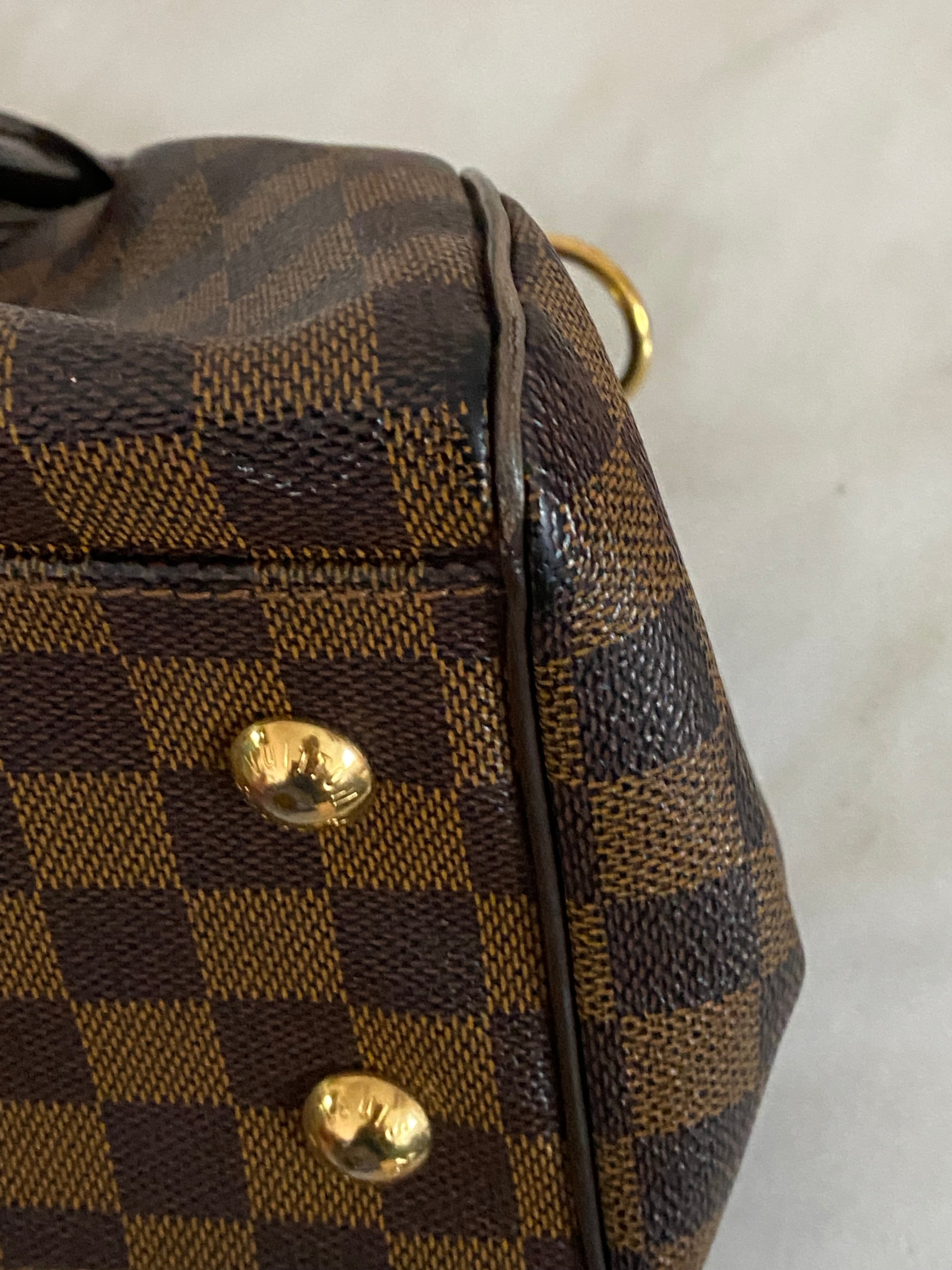 Louis Vuitton Damier Ebene Trevi PM Bag