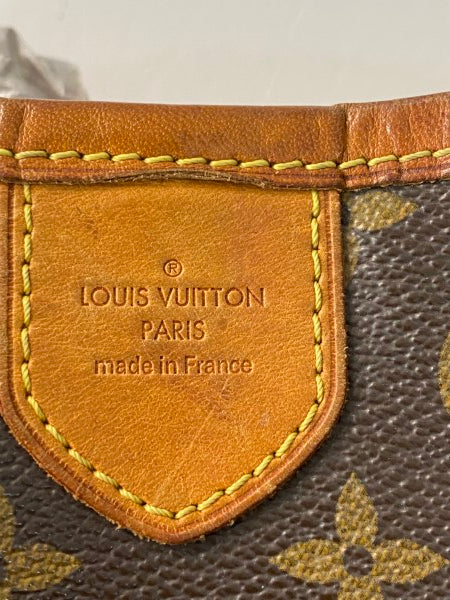 Louis Vuitton Monogram Delightful Bag