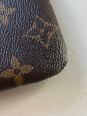 Louis Vuitton Daily Monogram Pouch