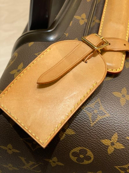 Pegase Louis Vuitton Travel bag Brown Leather ref.931611 - Joli Closet