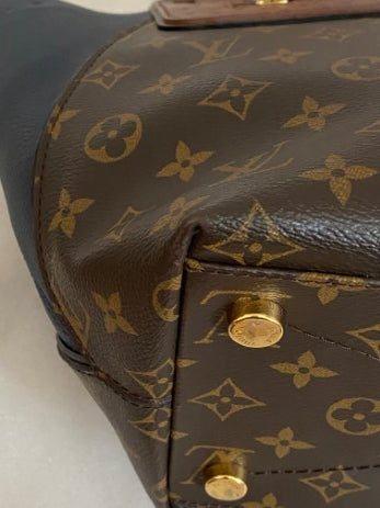 Louis Vuitton Bicolor Majestueux MM Tote Bag