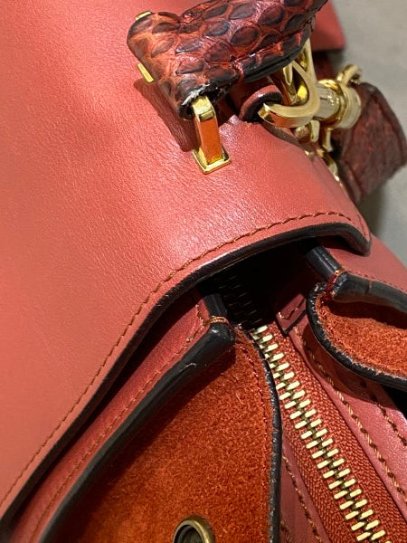 Celine Orange Red Python Trapeze Medium Bag