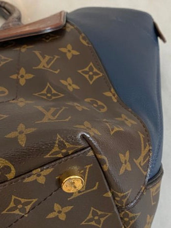 Louis Vuitton Bicolor Majestueux MM Tote Bag